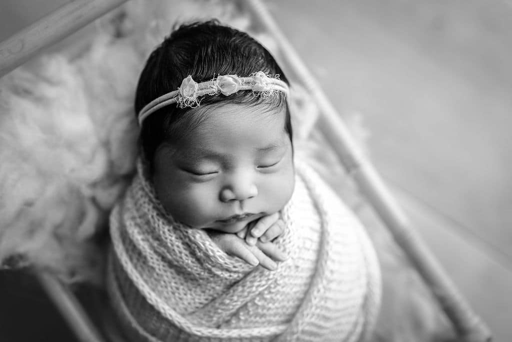 Chicago newborn photographer