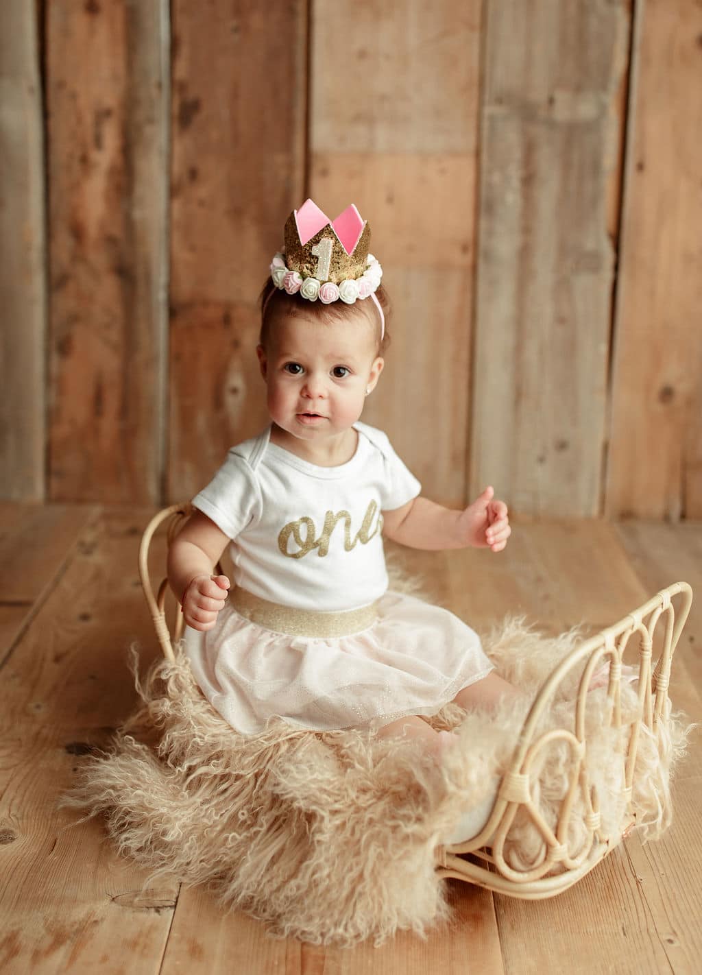 first birthday photo shoot