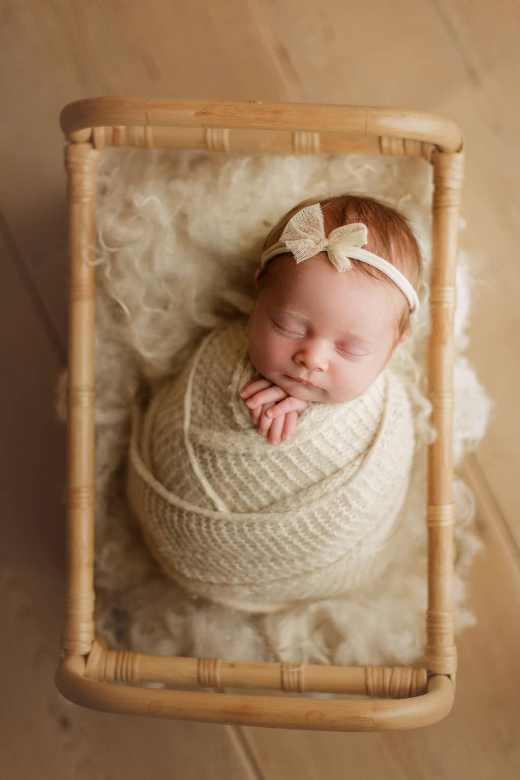 Chicago newborn photographer