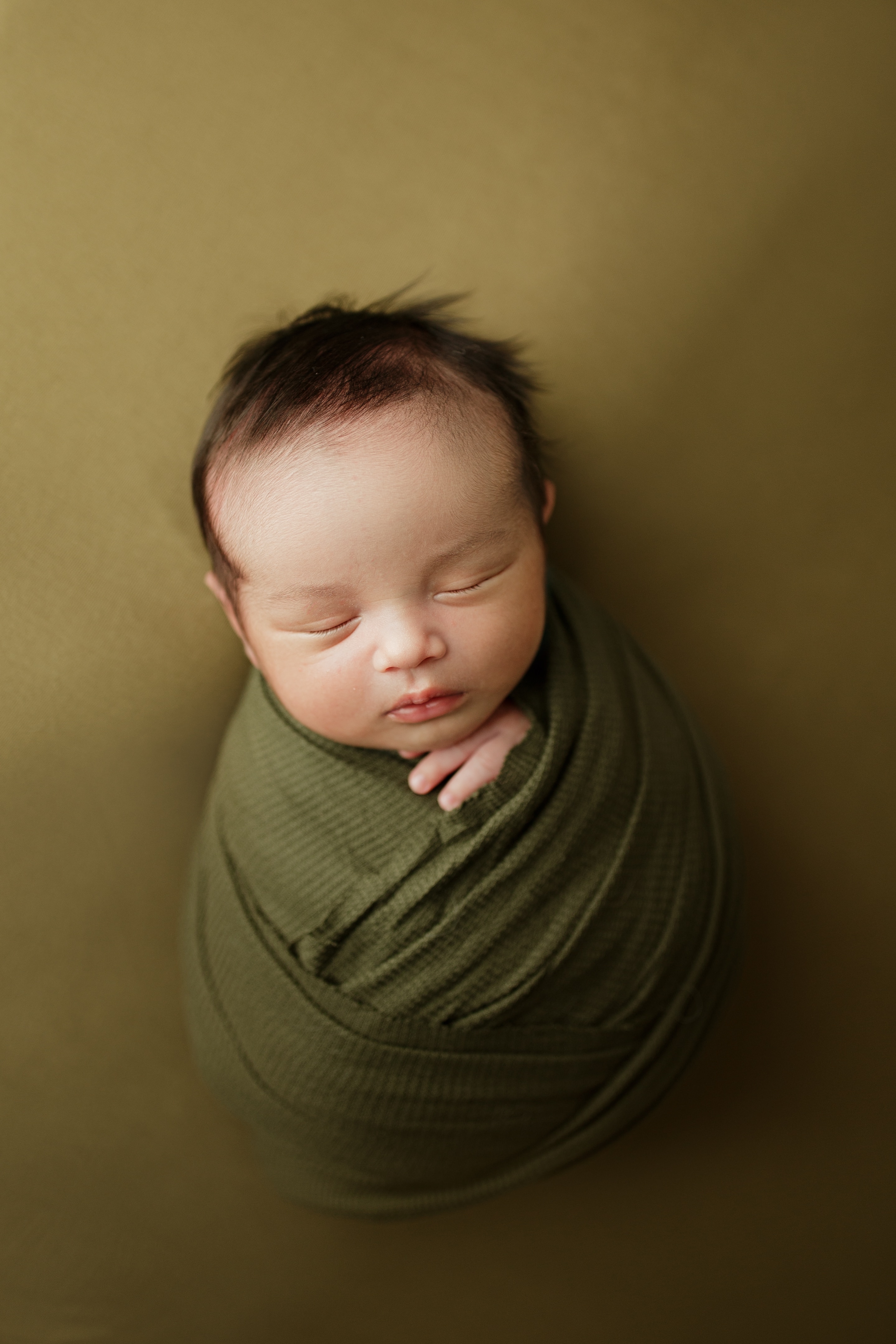 newborn photographer Chicago