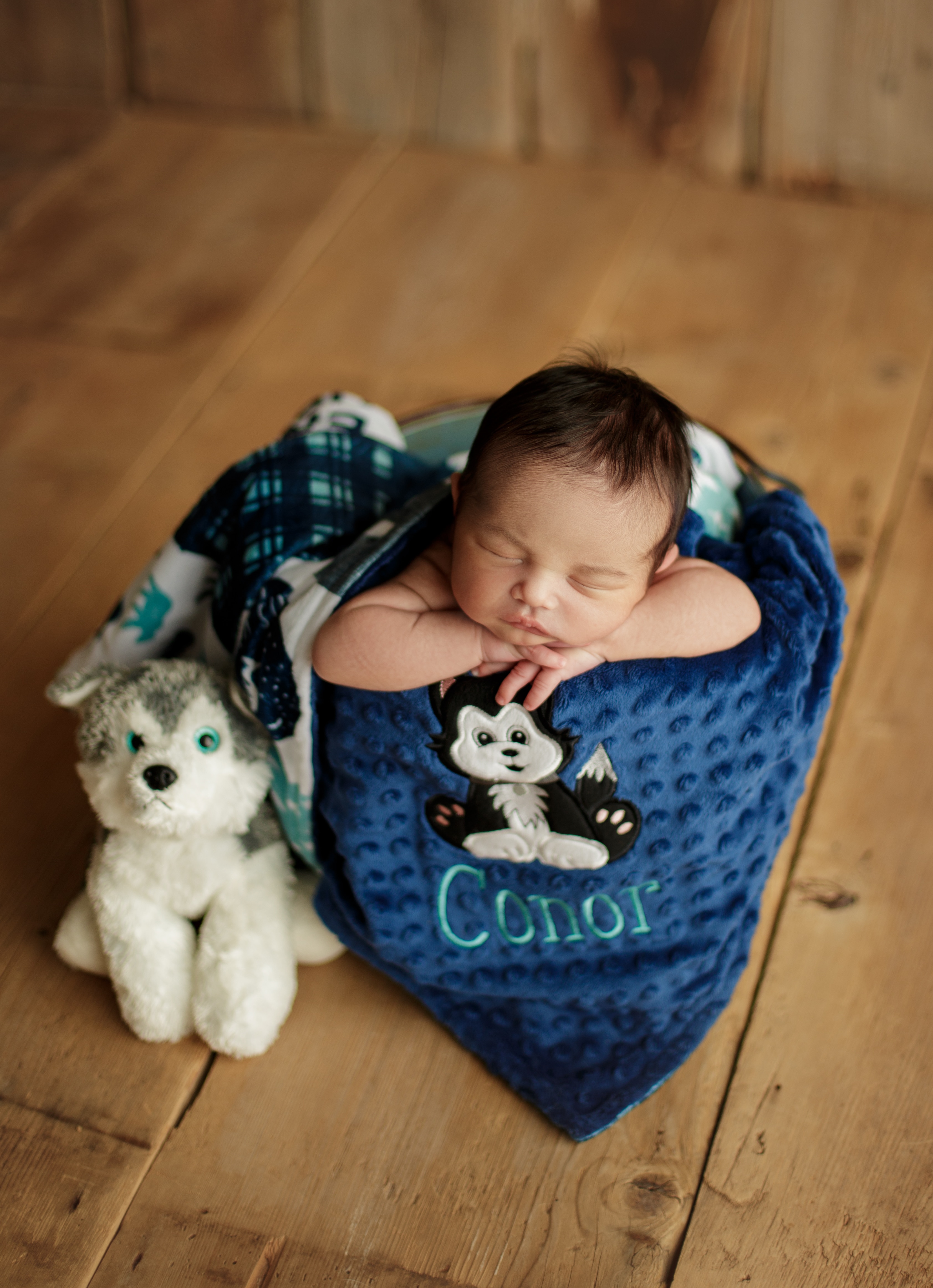 newborn photo shoot Chicago