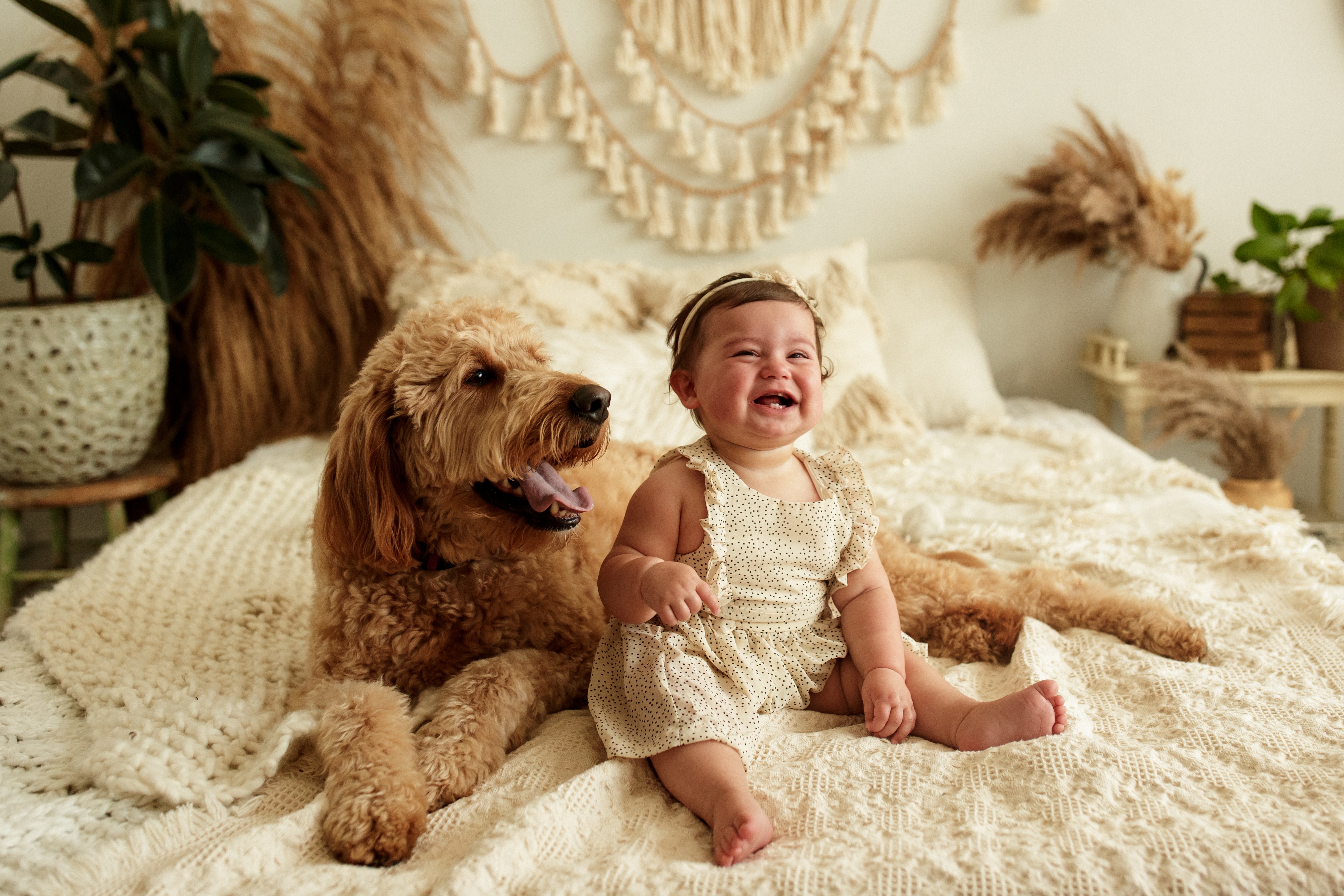 Chicago baby photographer