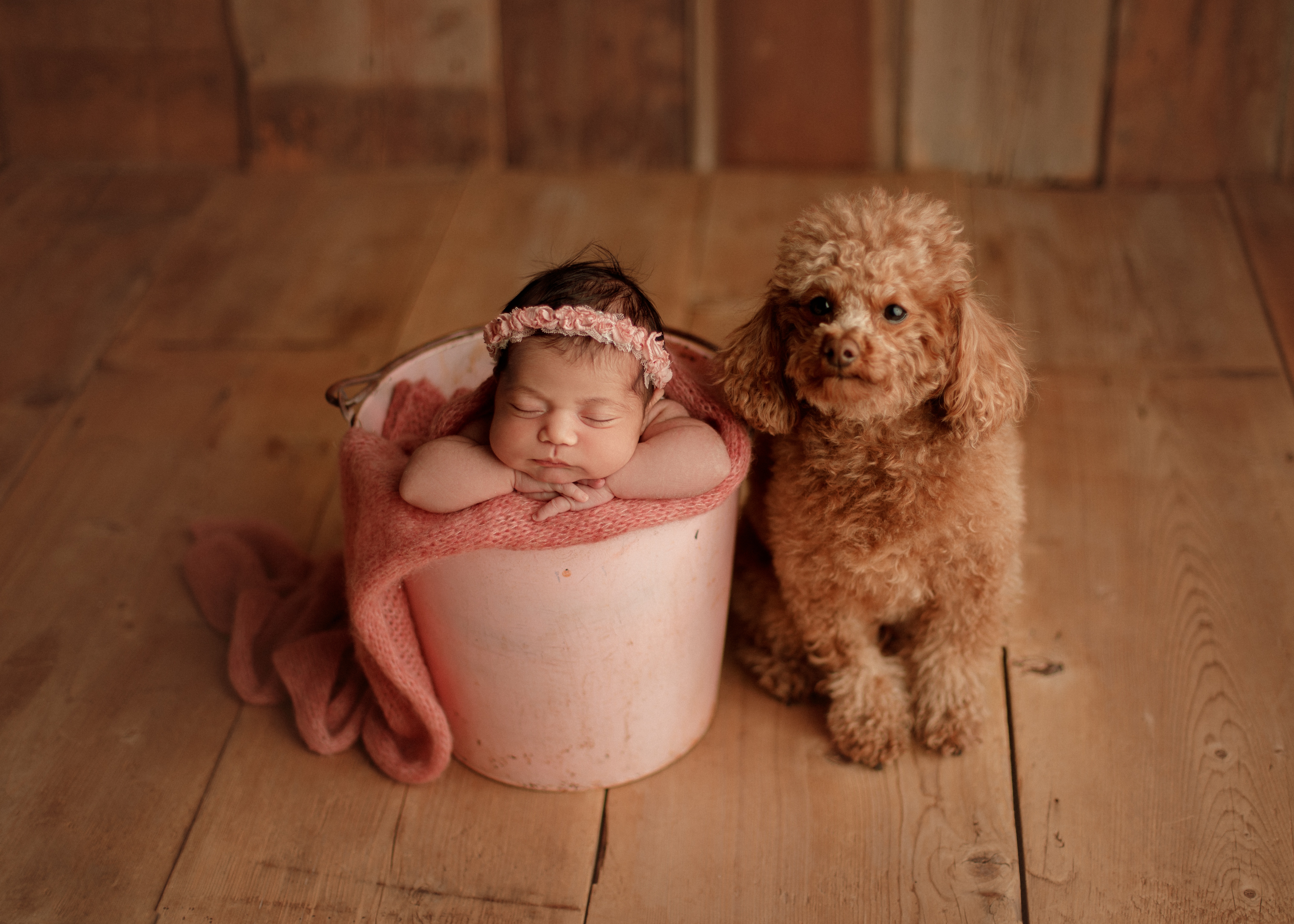 newborn baby girl and her dog in Chicago newborn session