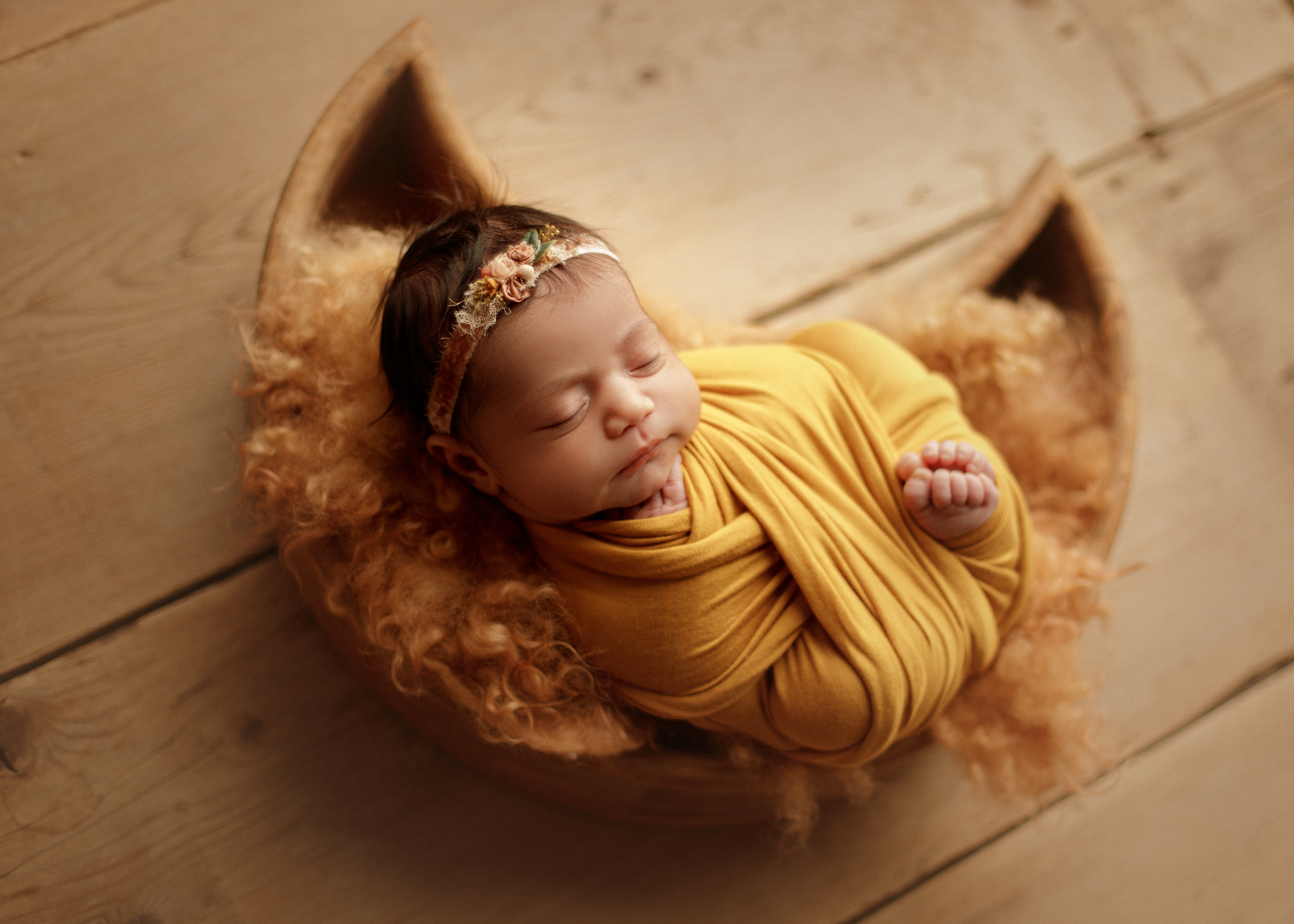 moon basket Highland Park newborn photo session