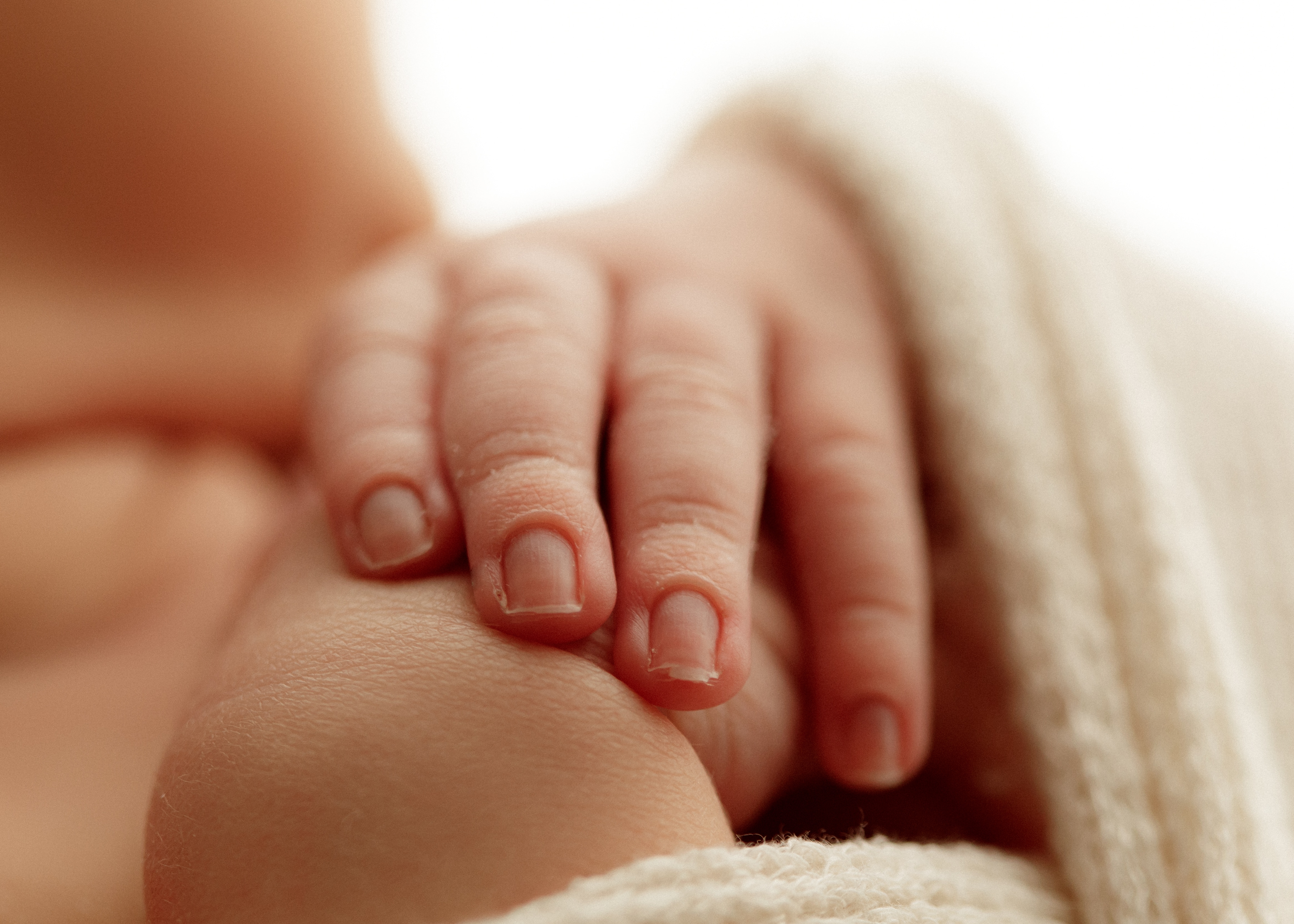 newborn photography Illinois