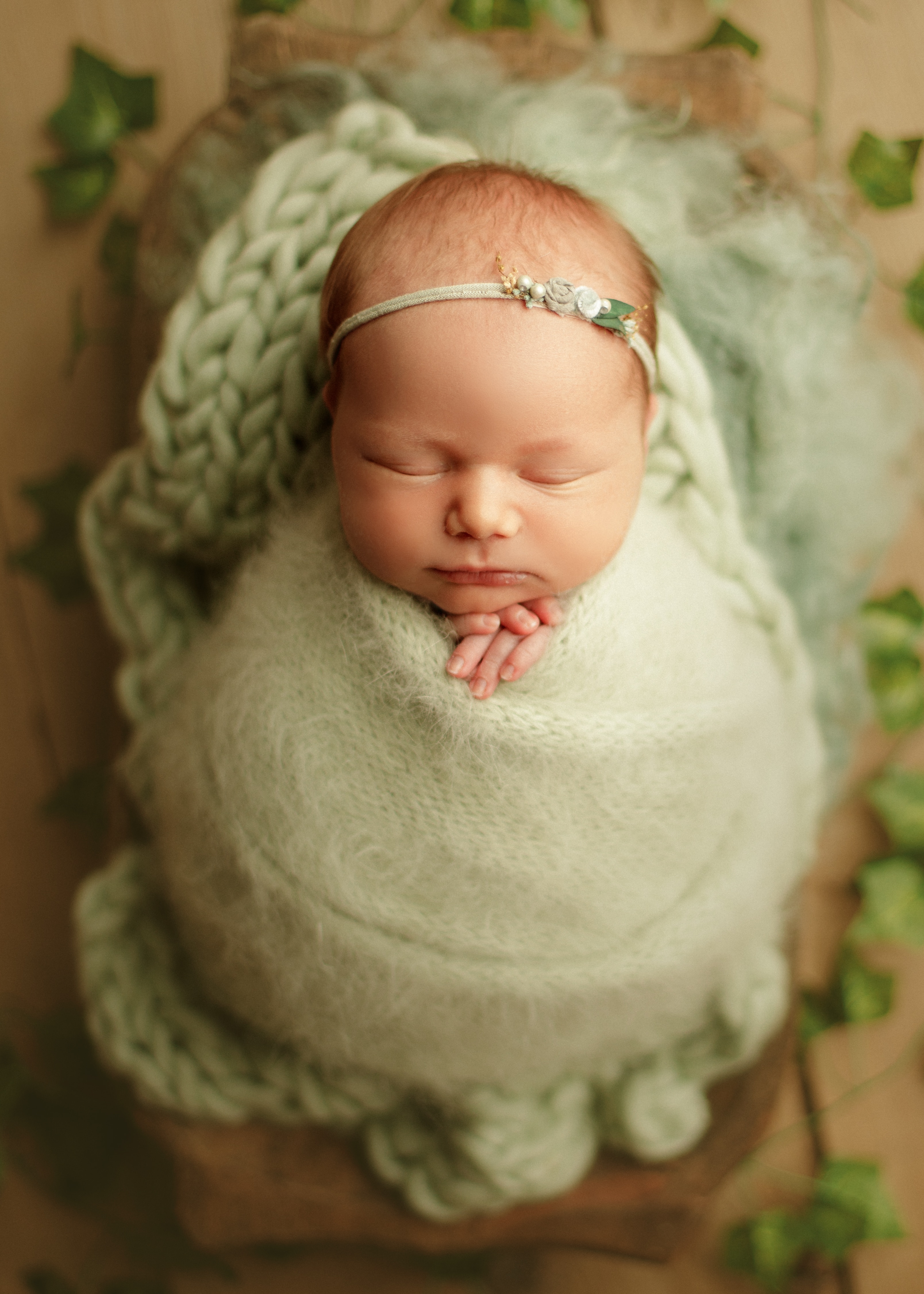 newborn baby photographer Chicagoland
