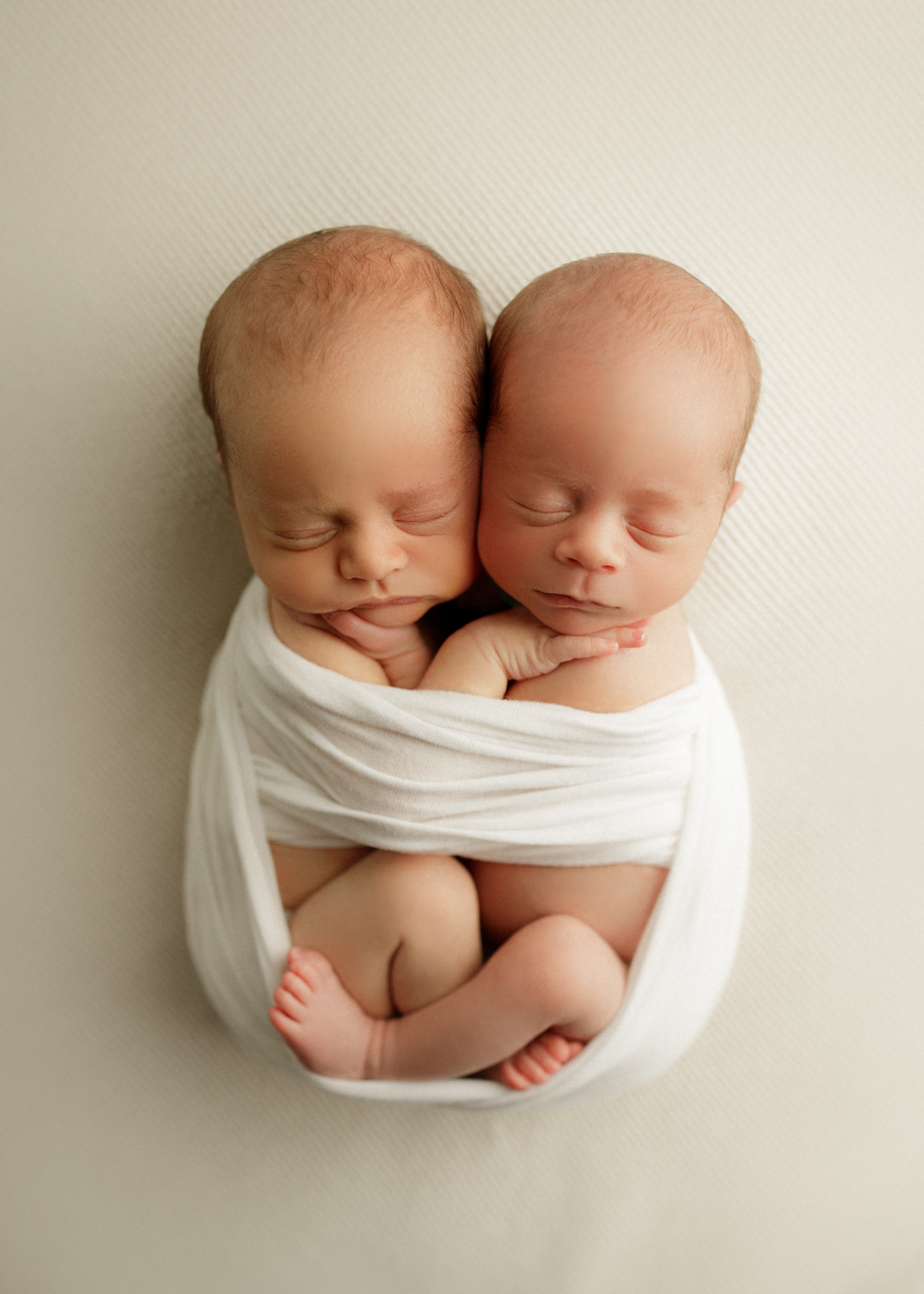 twin brothers newborn photo shoot Chicago