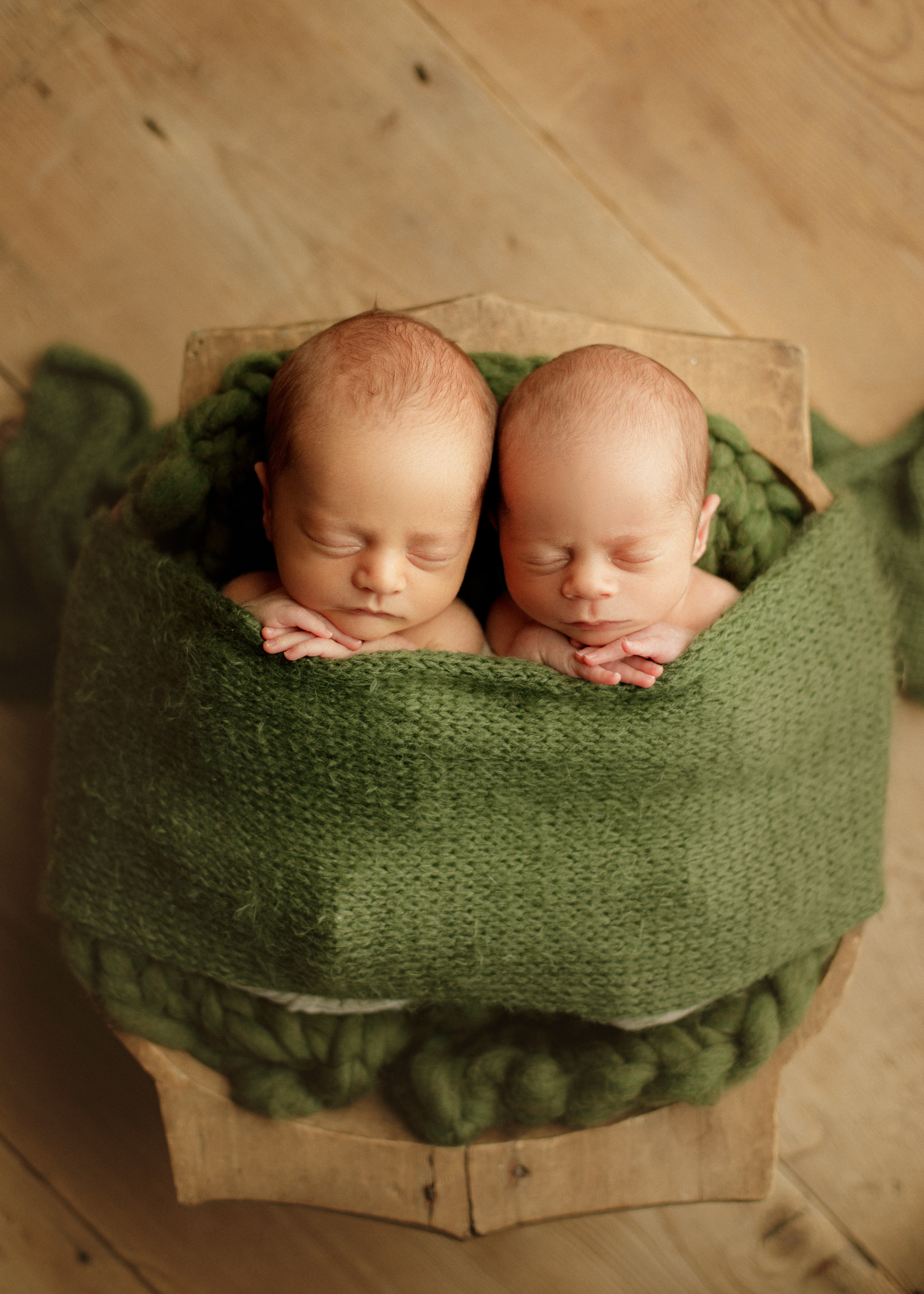 Chicago newborn photographer twins