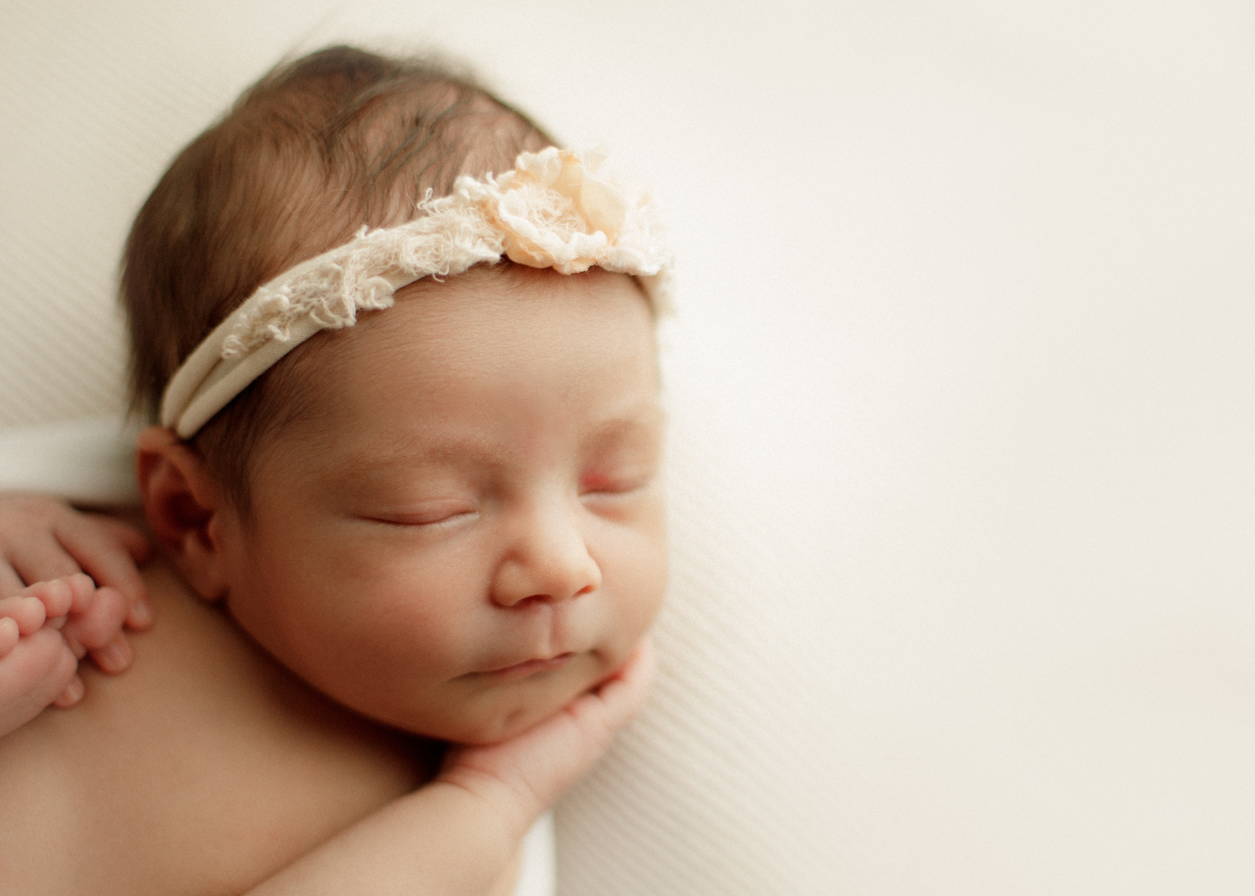 newborn photographer Park Ridge