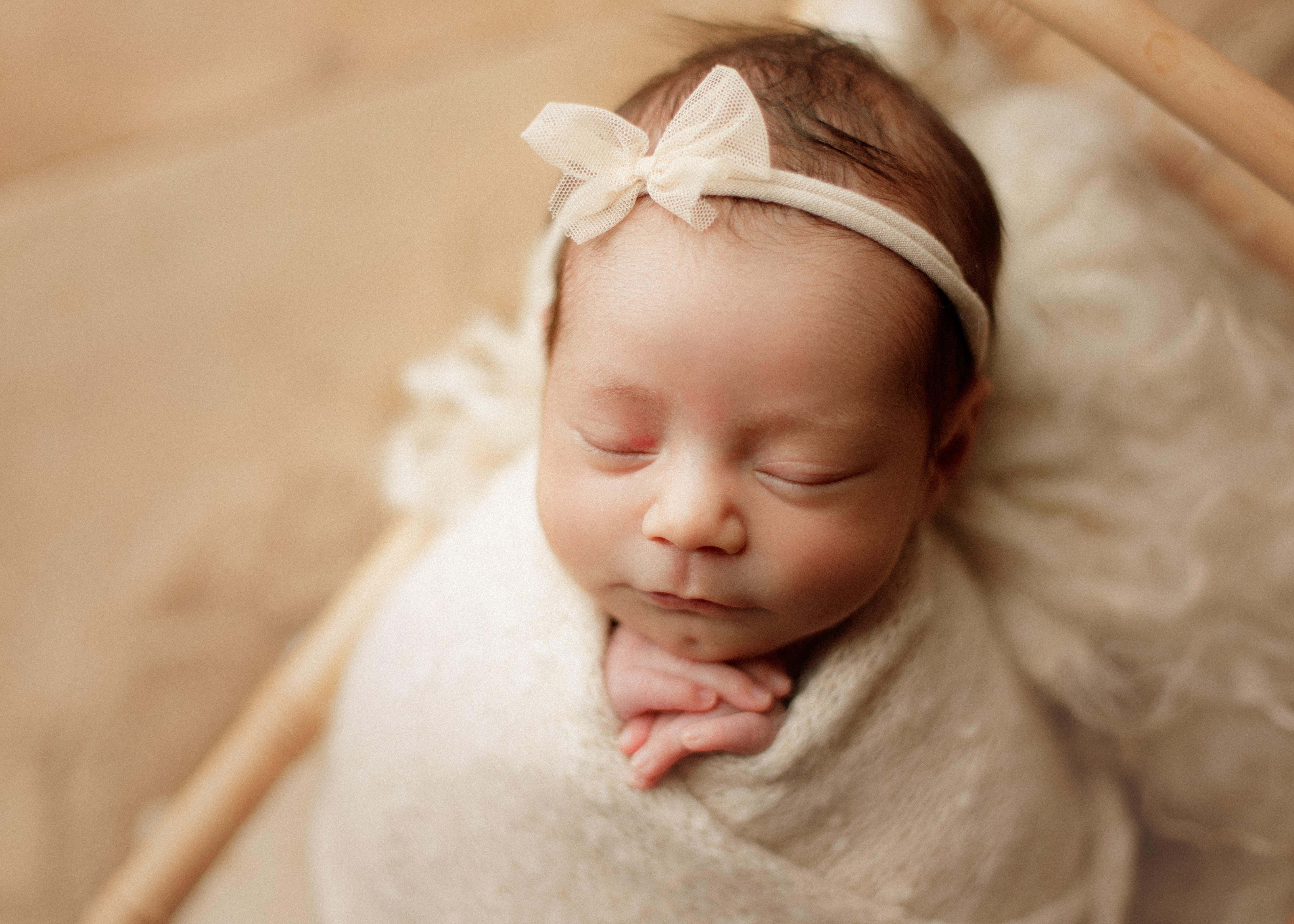 newborn baby girl, photo shoot Chicago