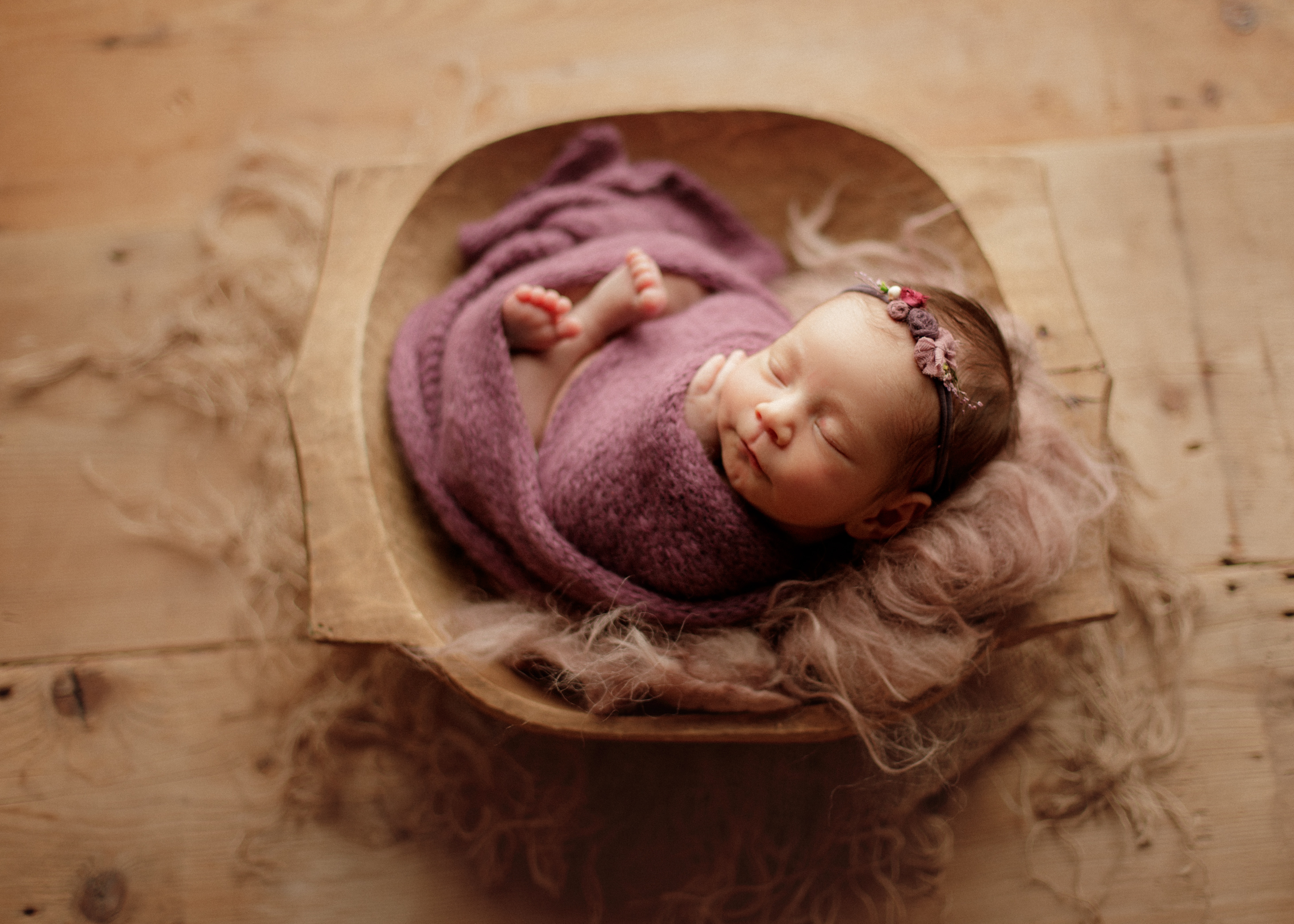 newborn photographer Chicago
