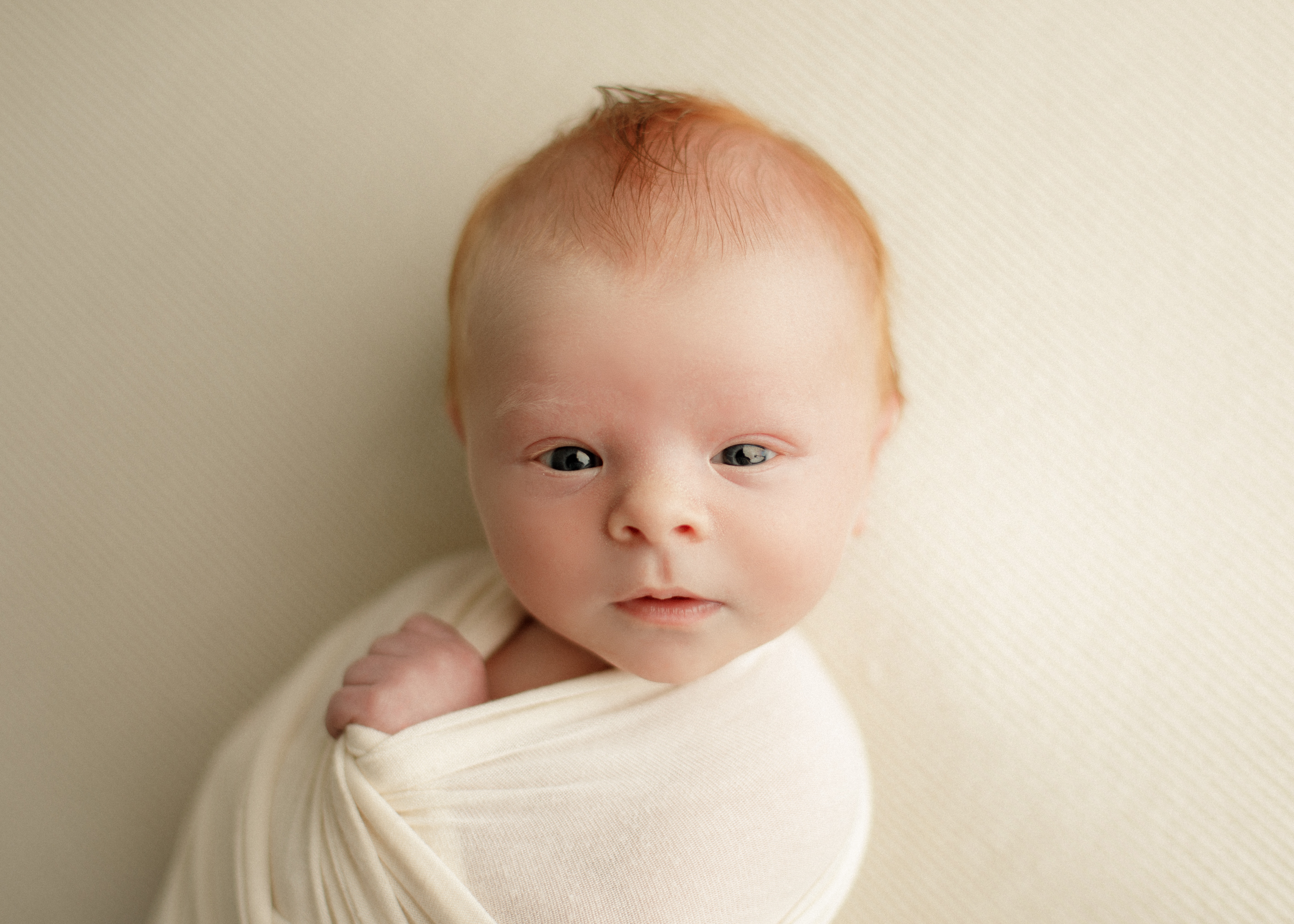 Chicagoland newborn photographer