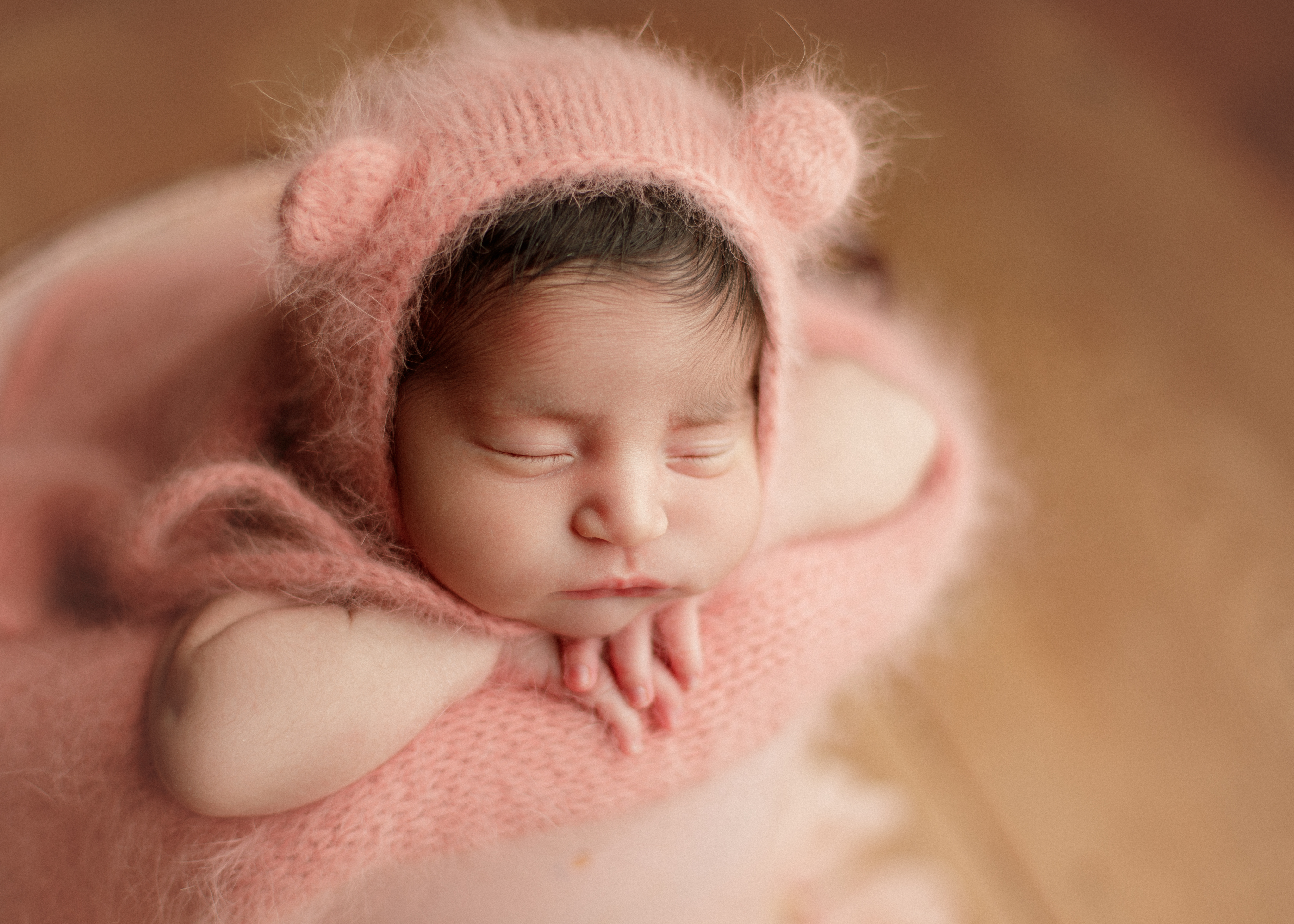 Chicagoland newborn photography