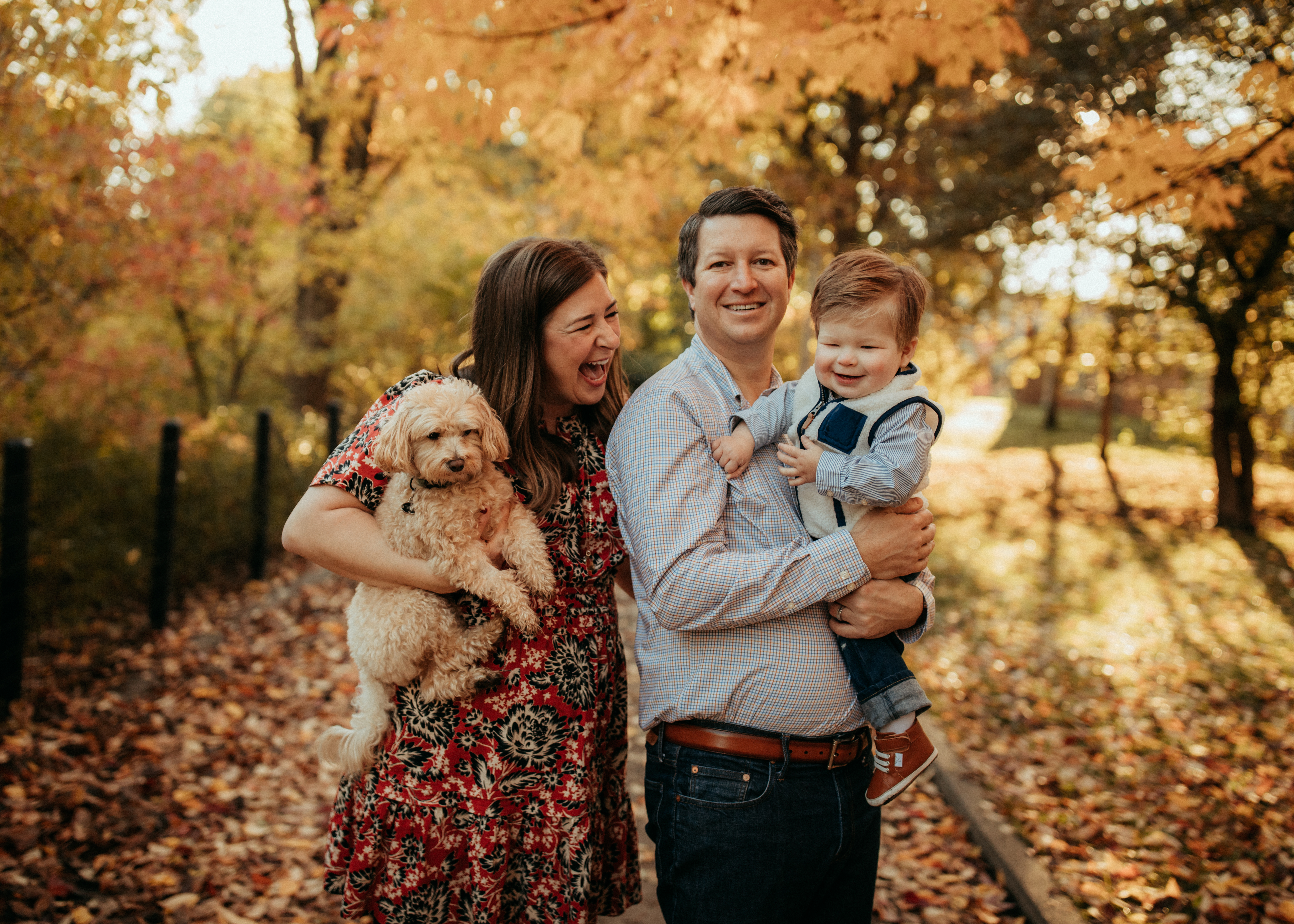 Evanston family photographer