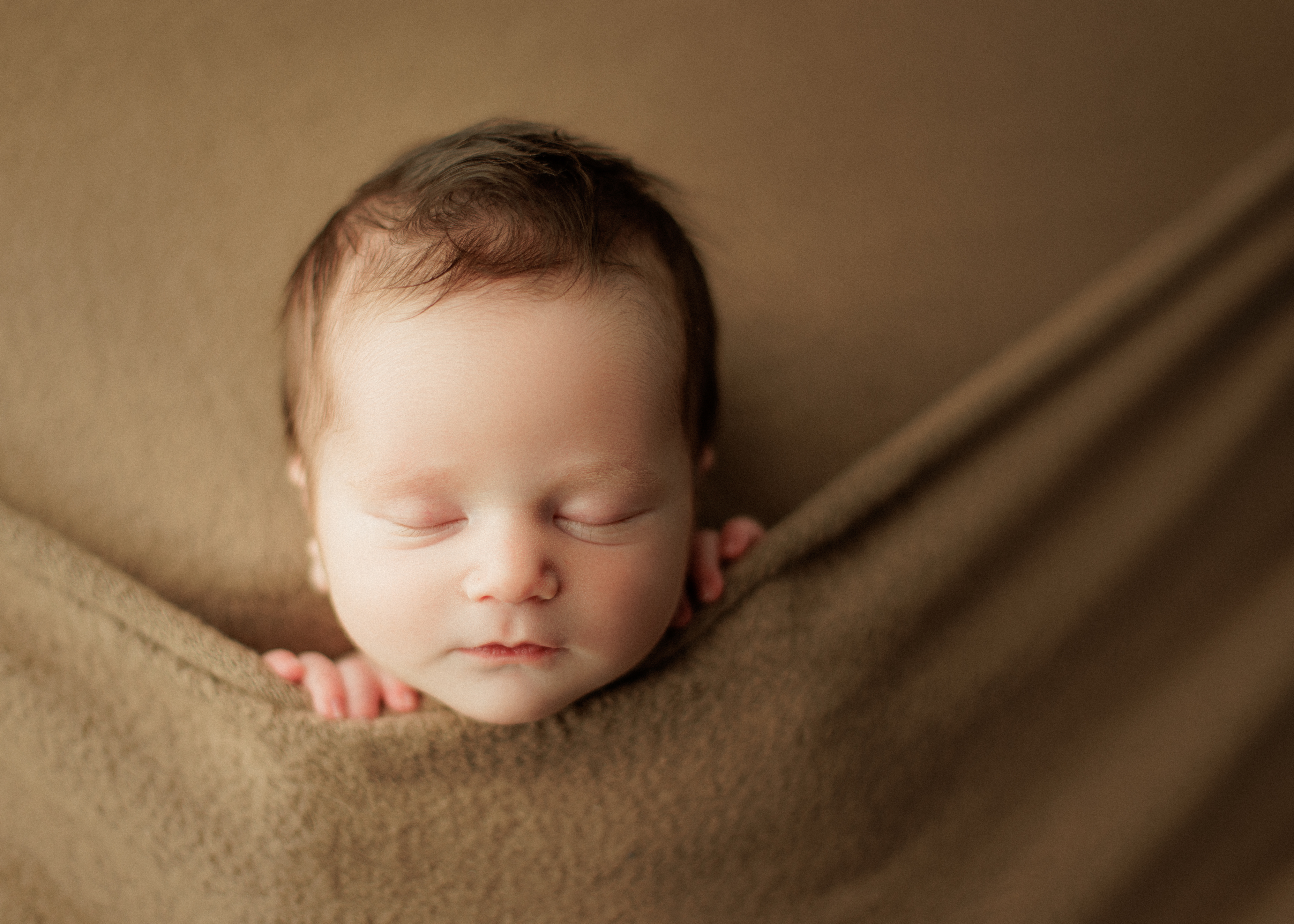 Evanston newborn photographer