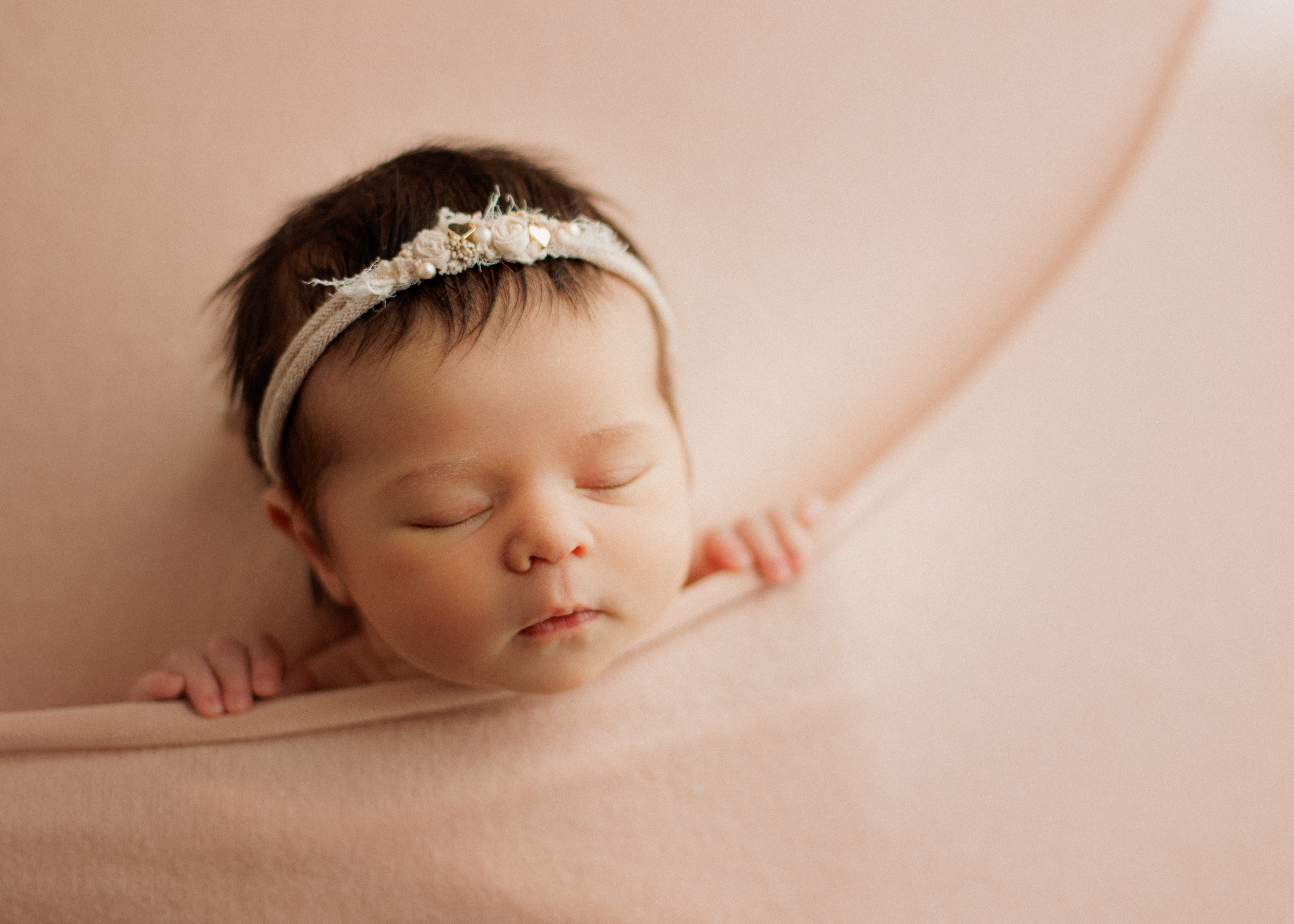 newborn photographer Chicago