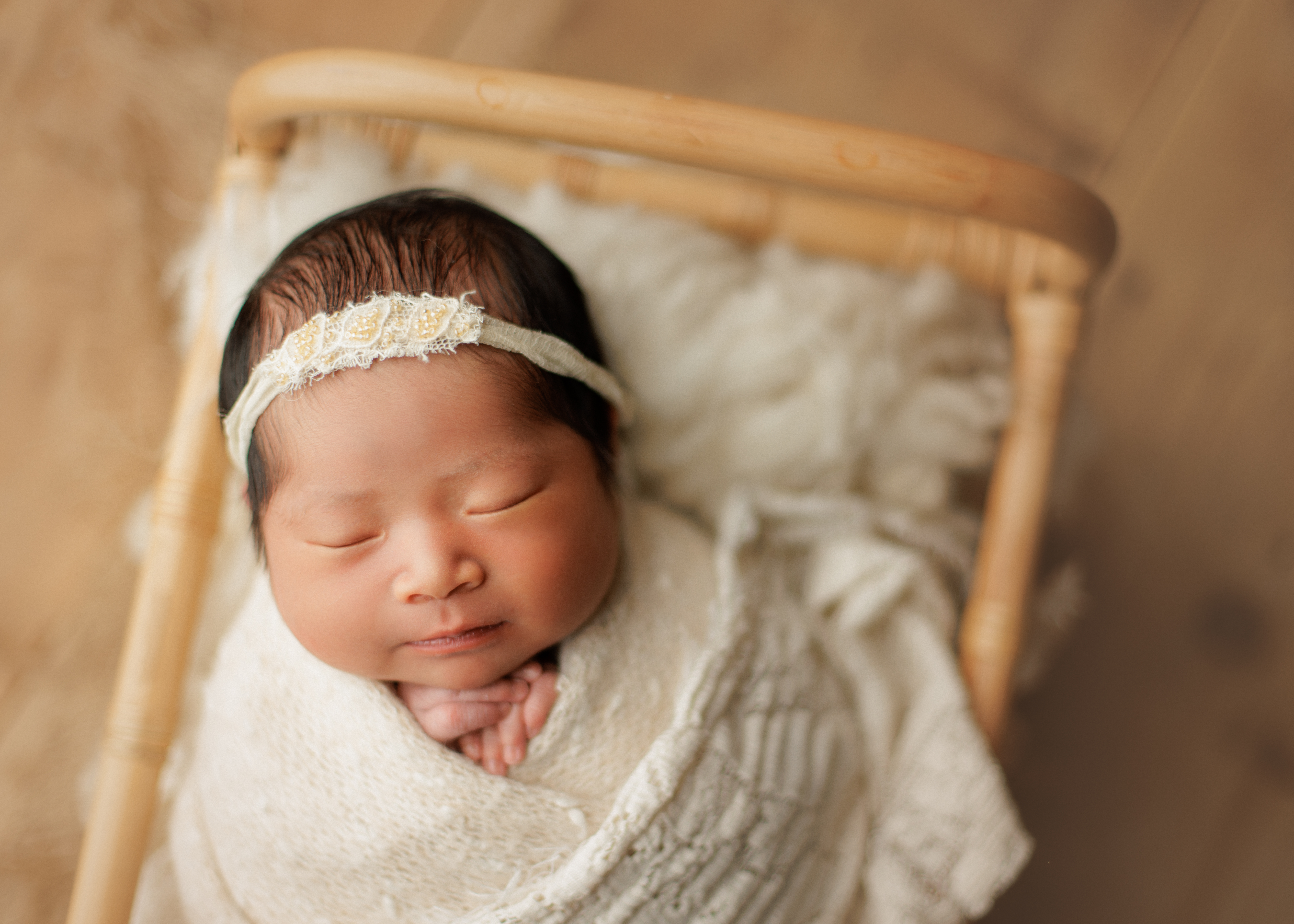 newborn photography in Mount Prospect