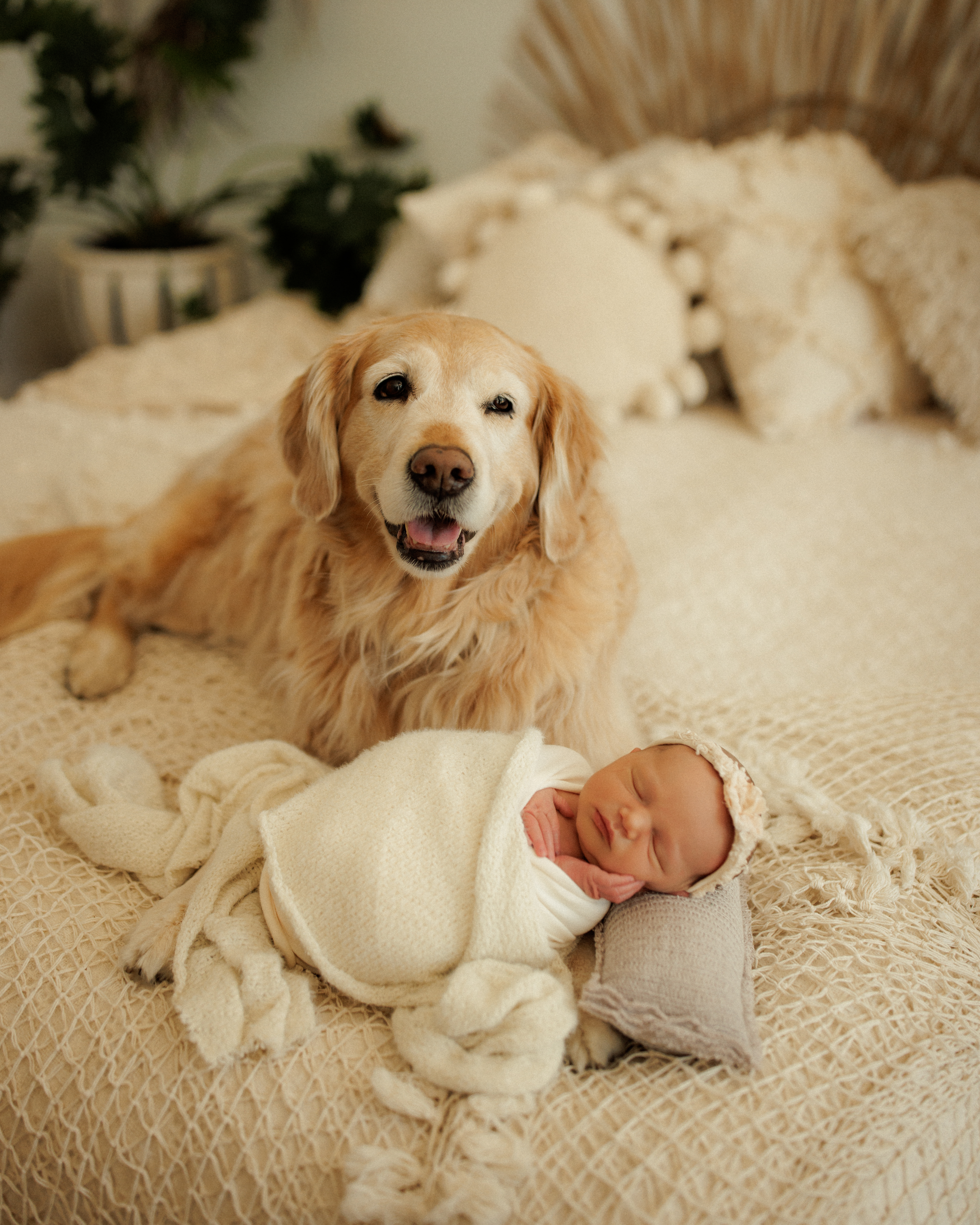 Skokie newborn photographer