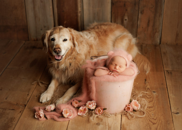 newborn baby and dog Chicago