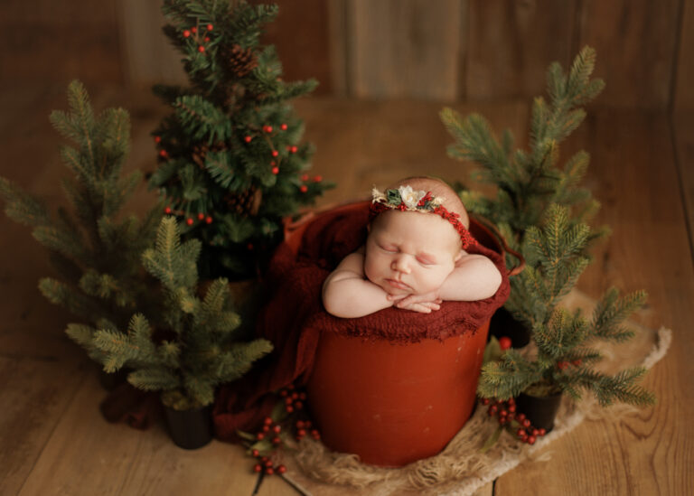 Christmas baby newborn set up