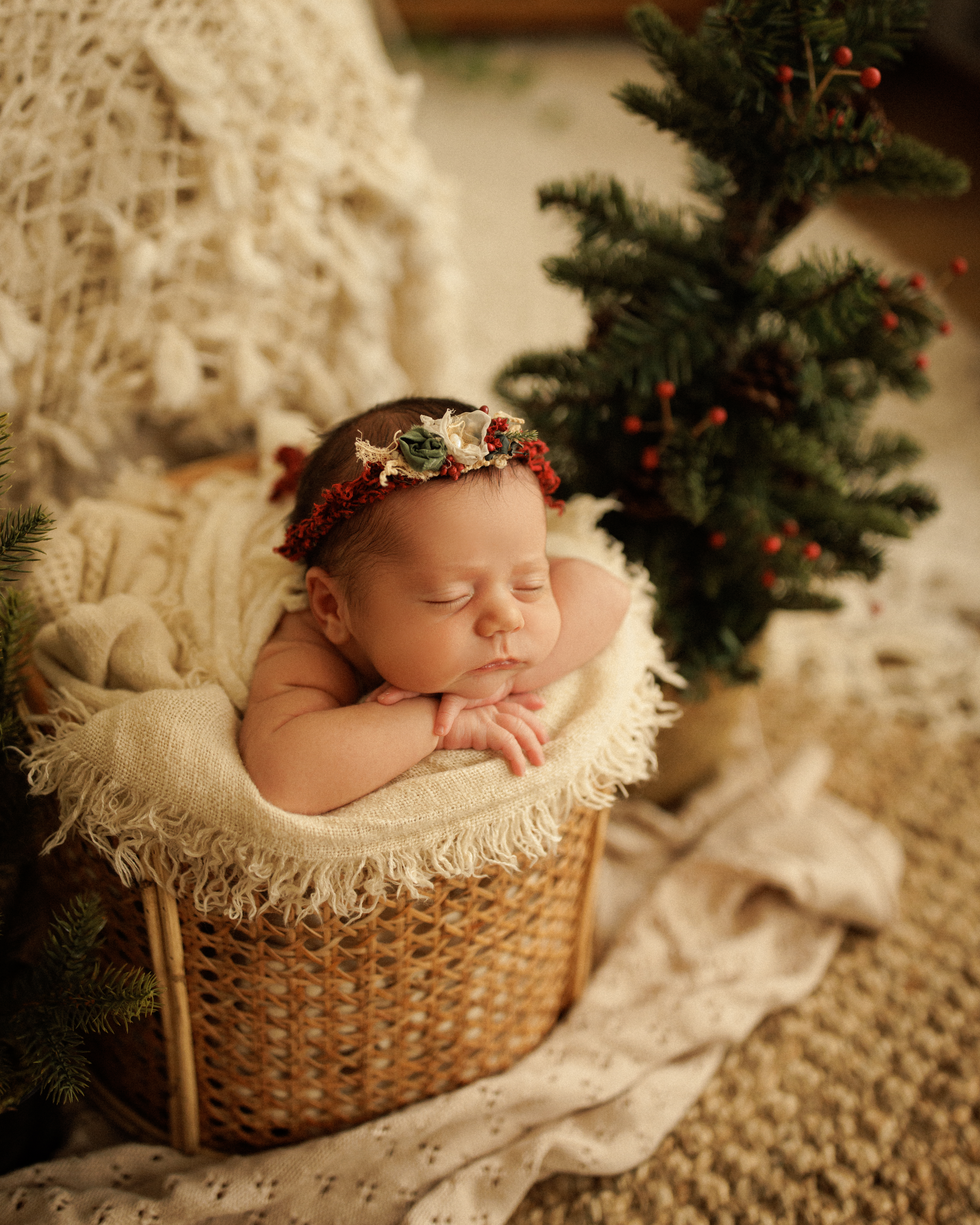 Christmas baby photo session Chicago