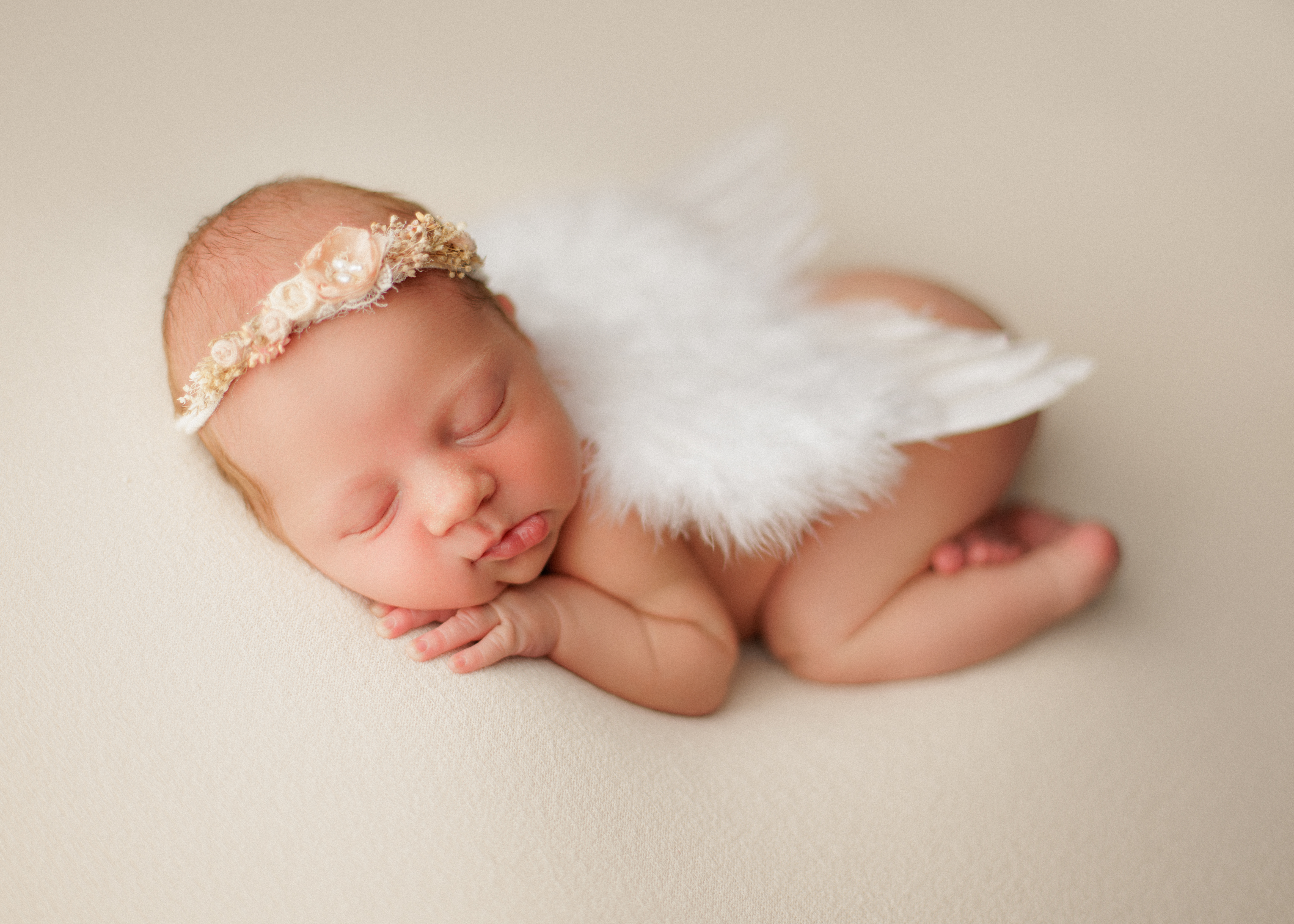 angelic newborn photo session