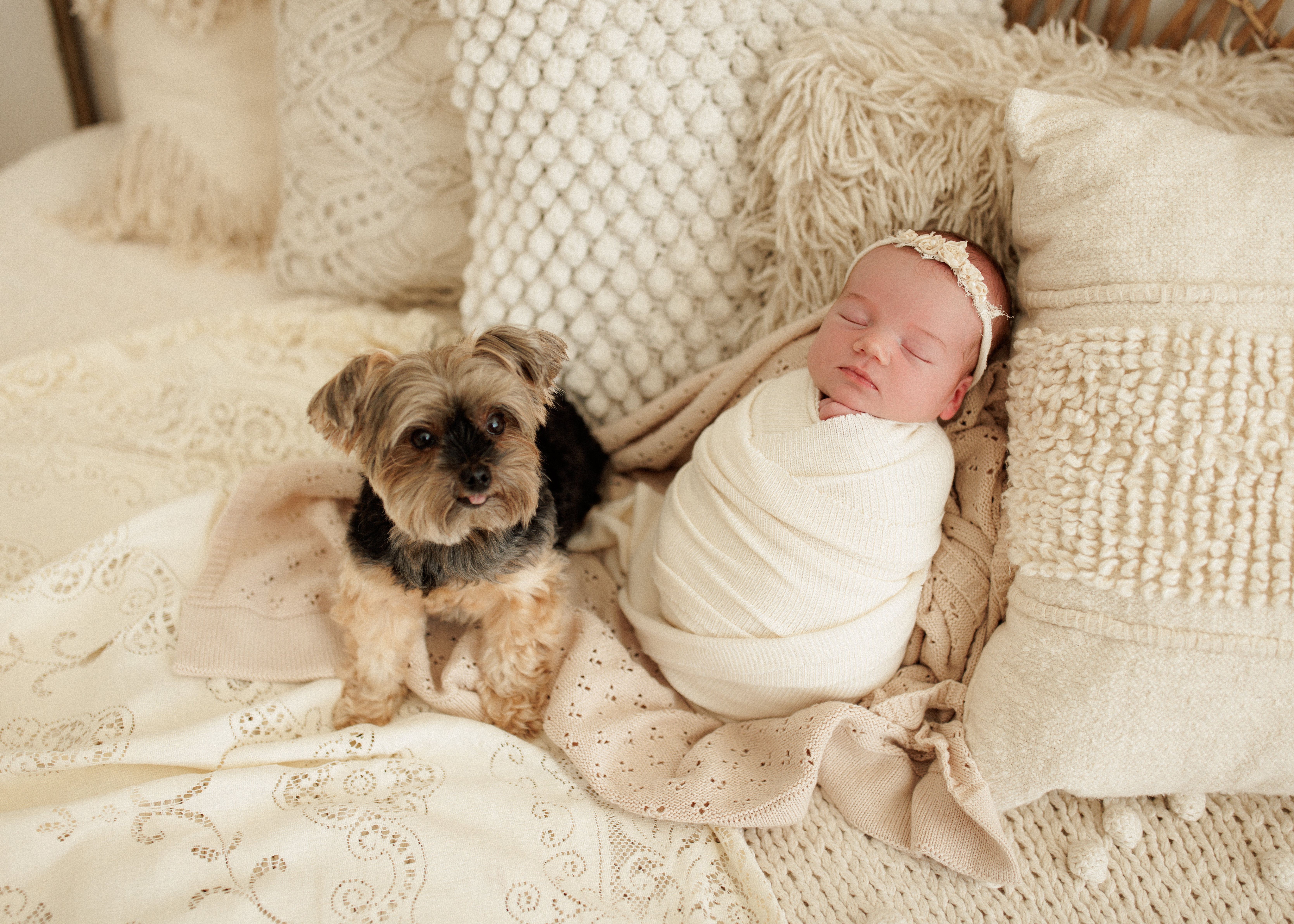 newborn baby and puppy