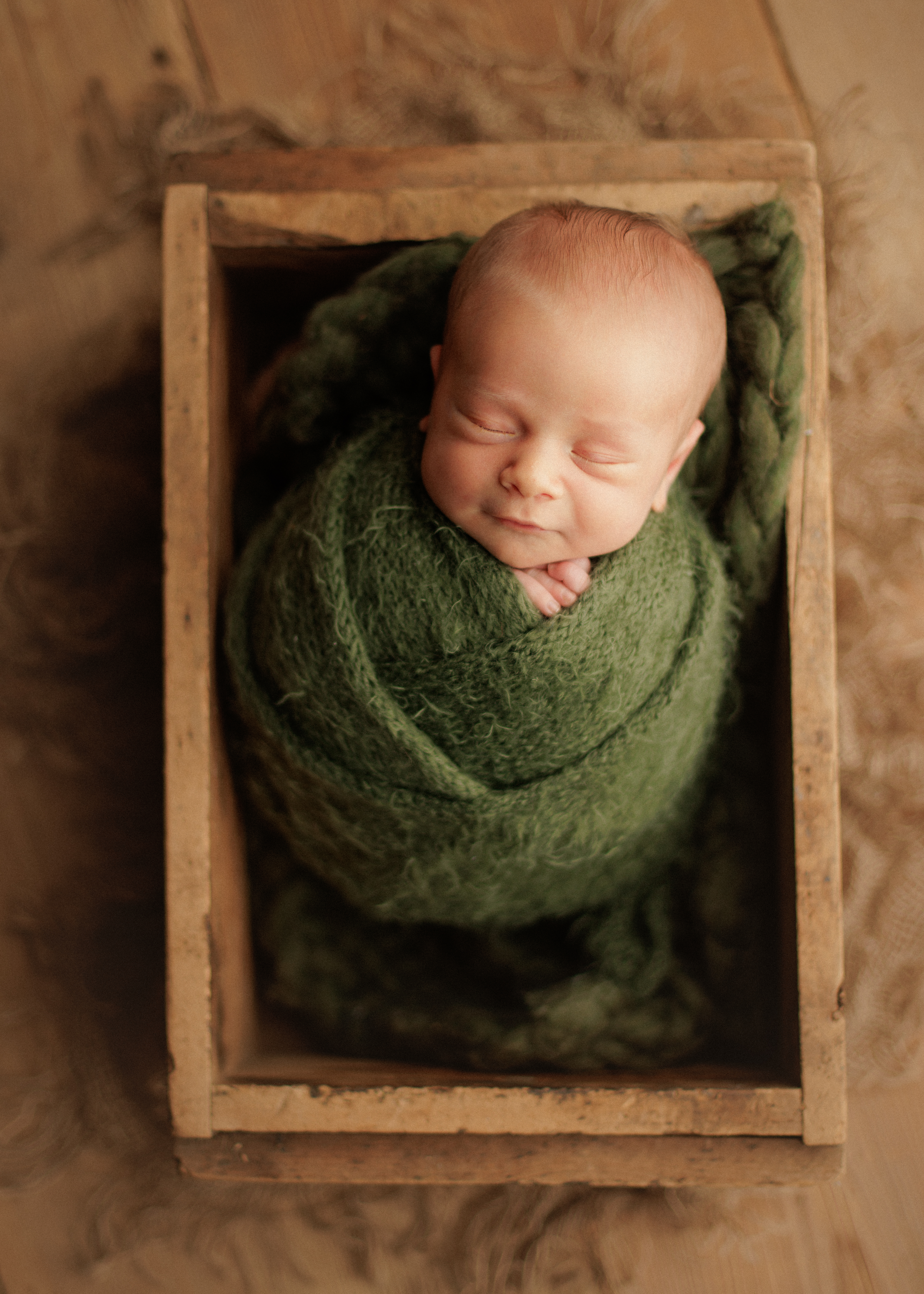 newborn photography in Chicago