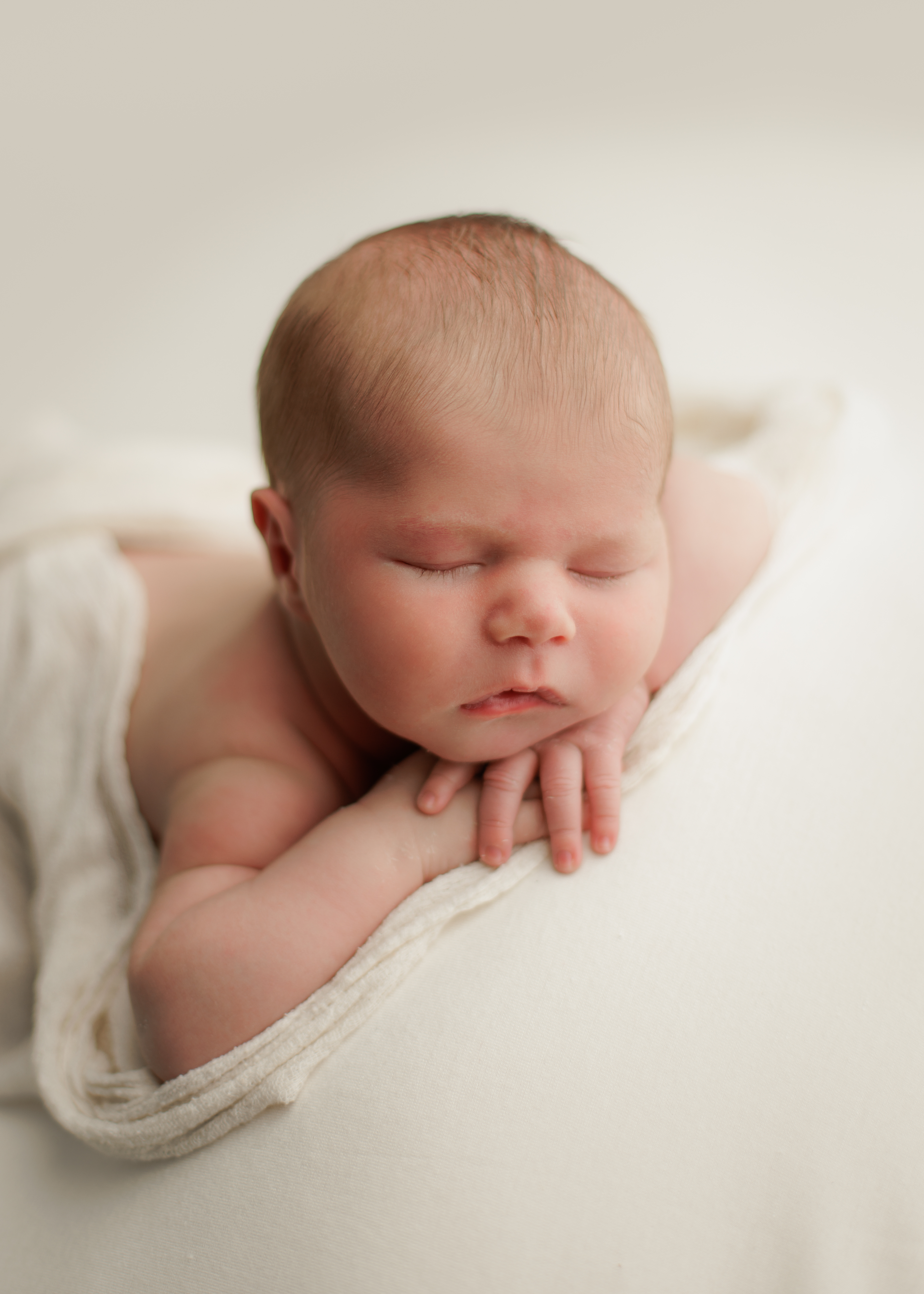 get 2024 newborn due date photos scheduled