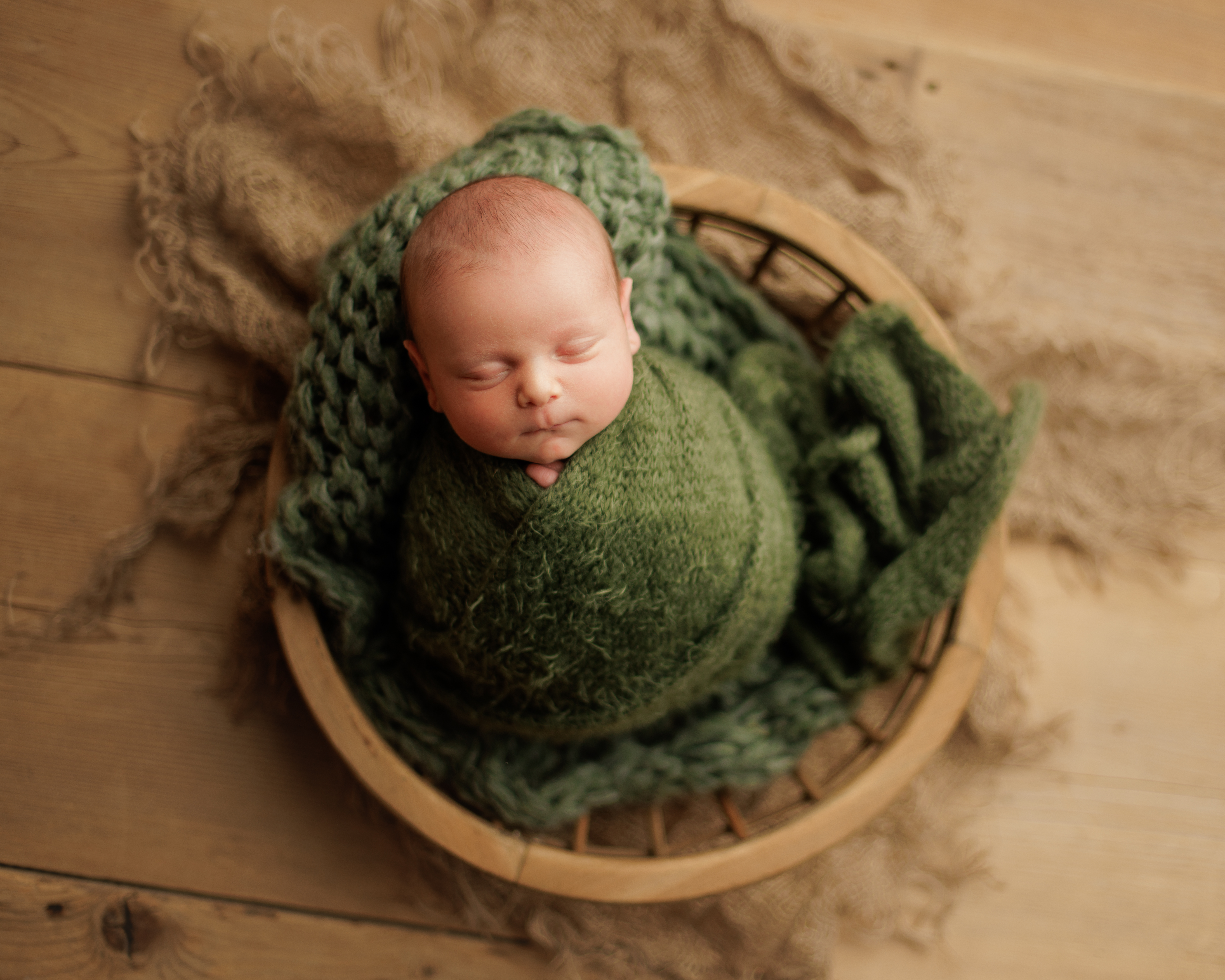 newborn photography Chicago