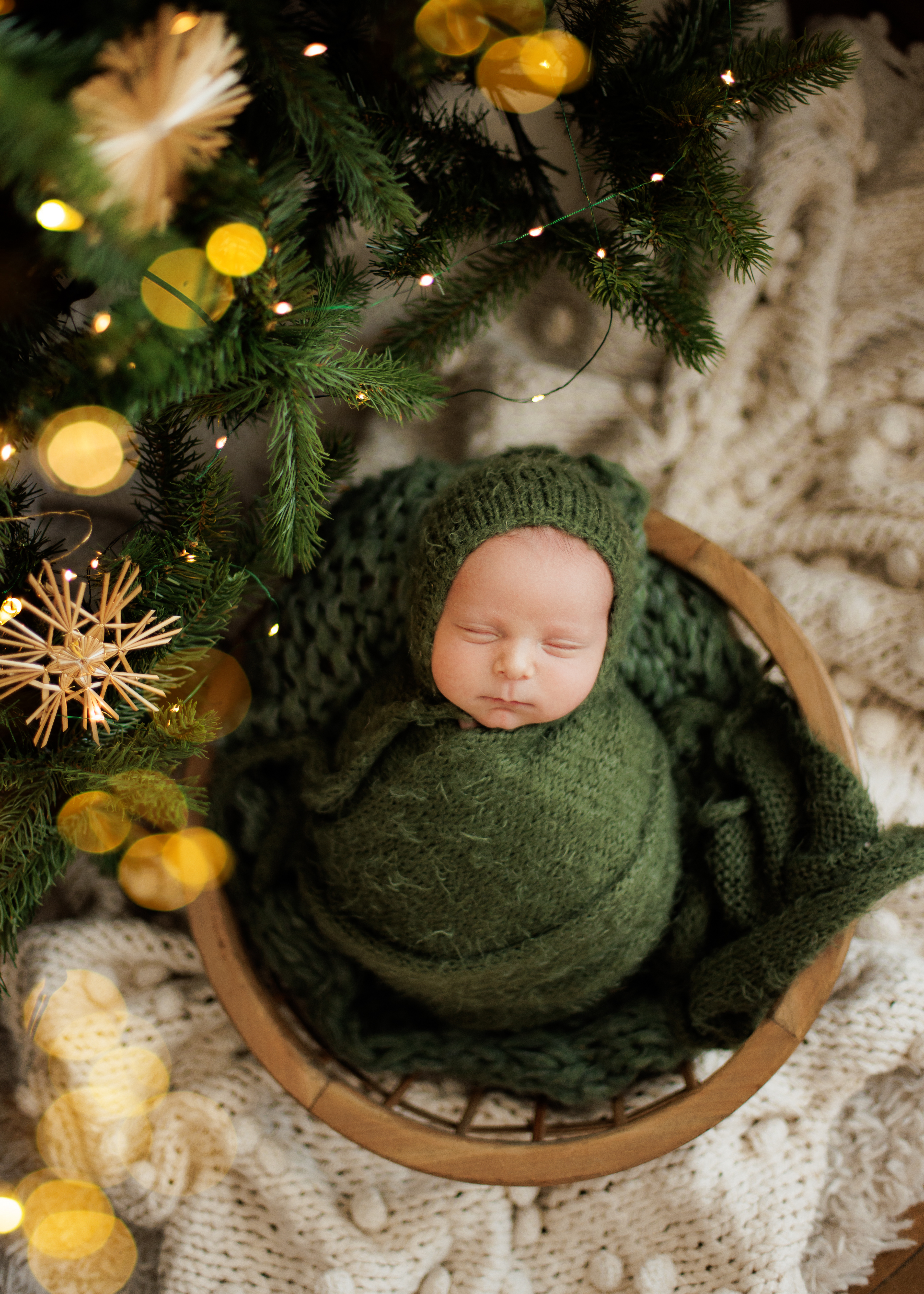 Christmas newborn photos