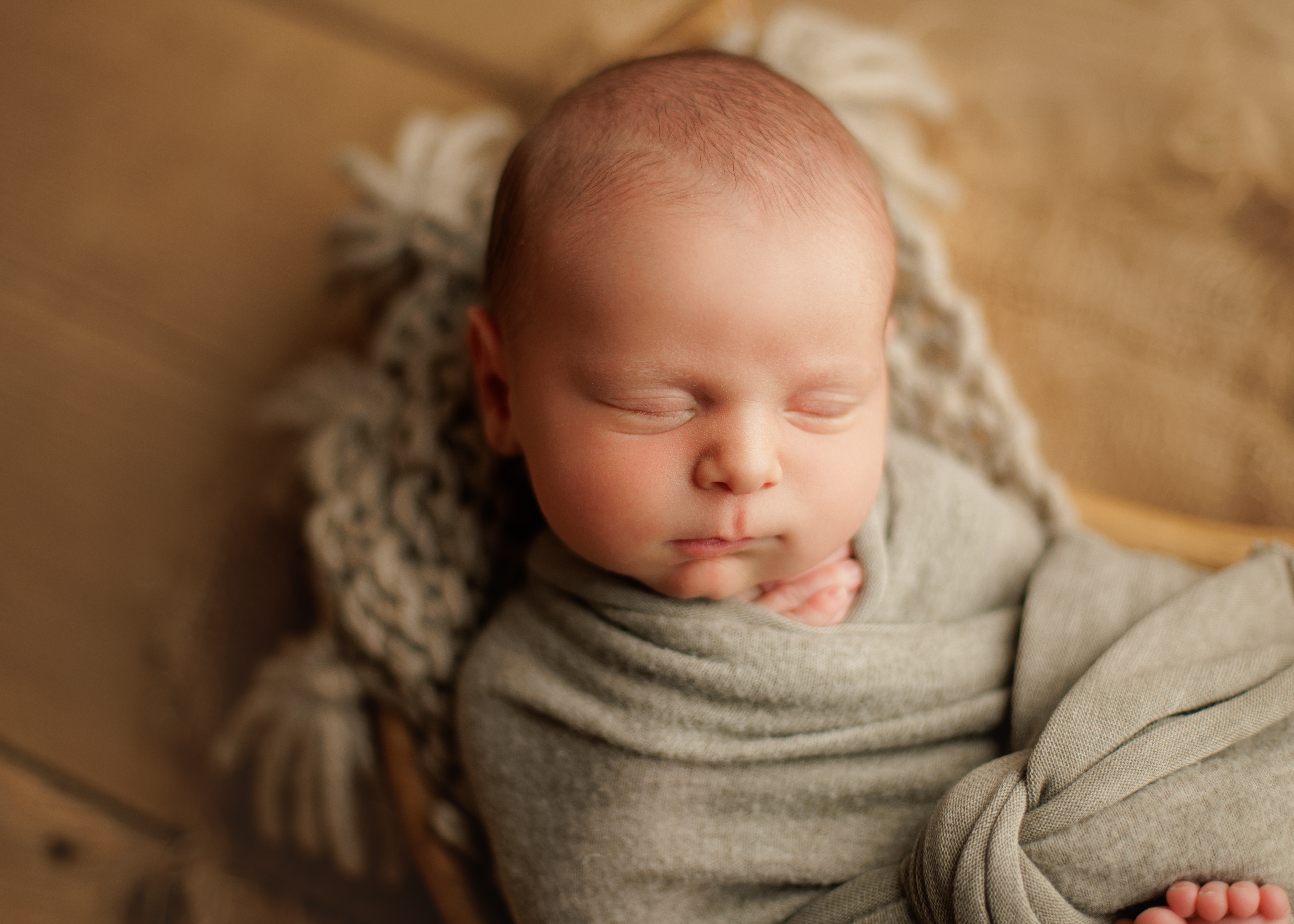 Chicagoland newborn baby photographer