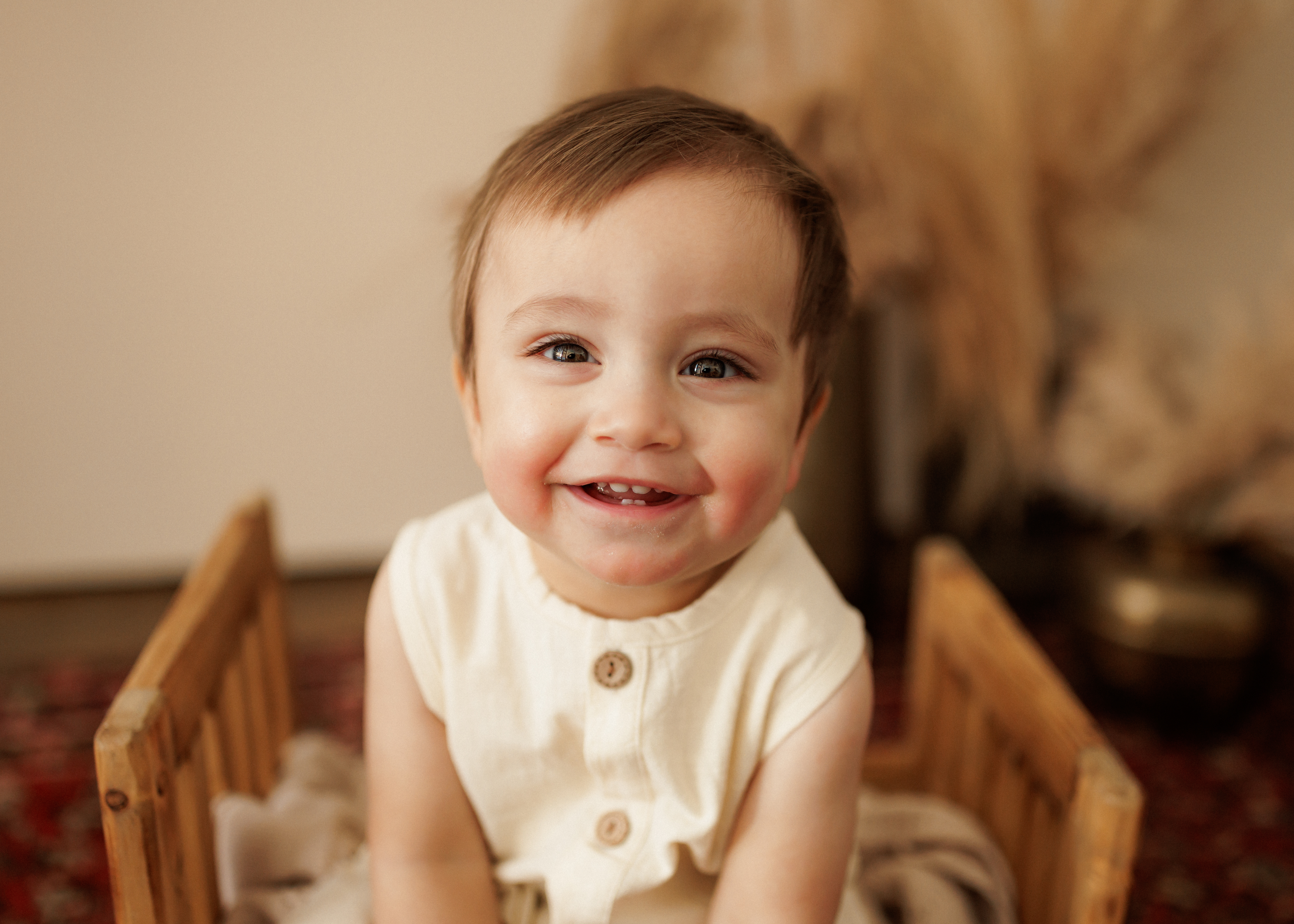 Chicago area baby photographer