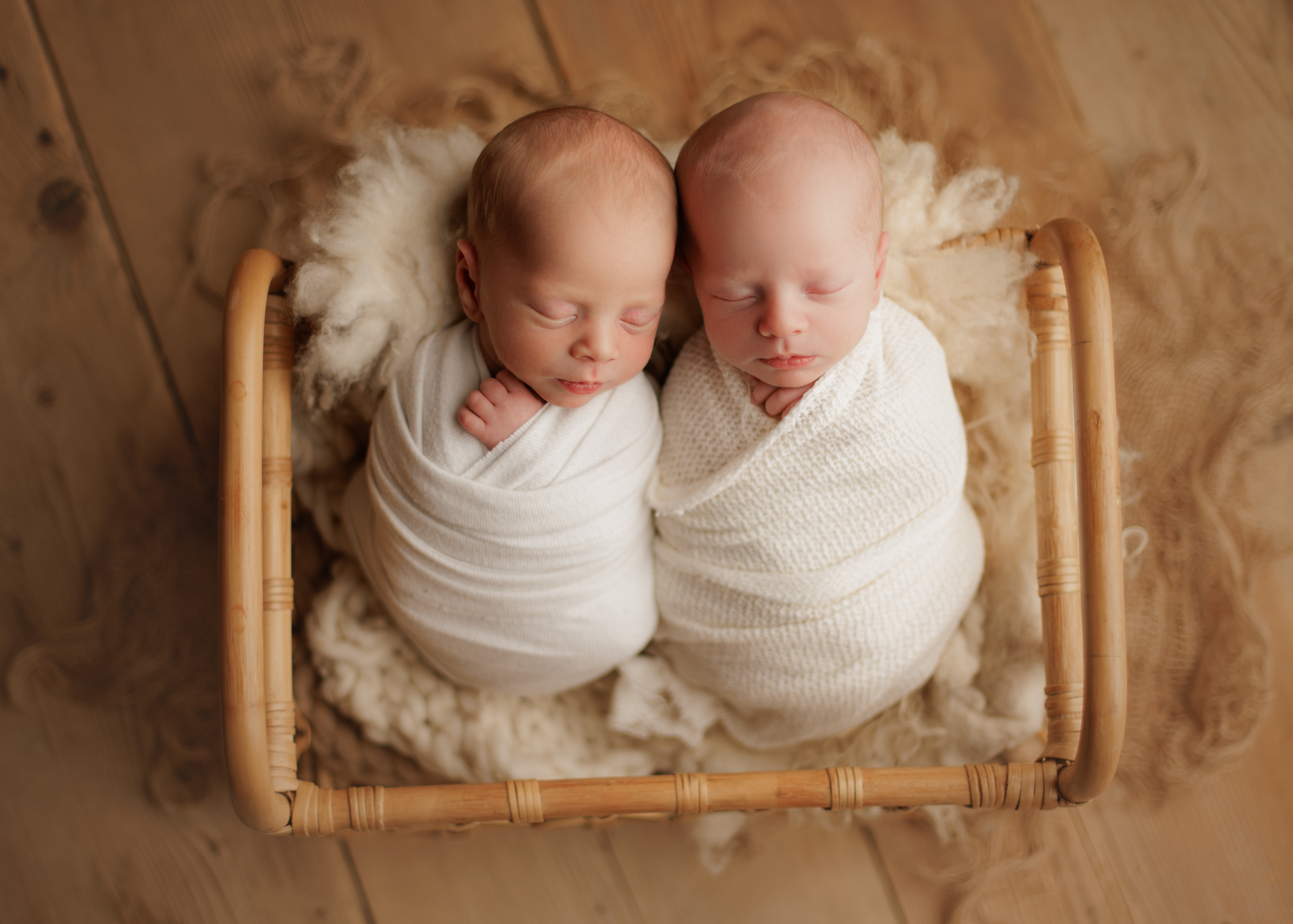 newborn twin photographer Chicago