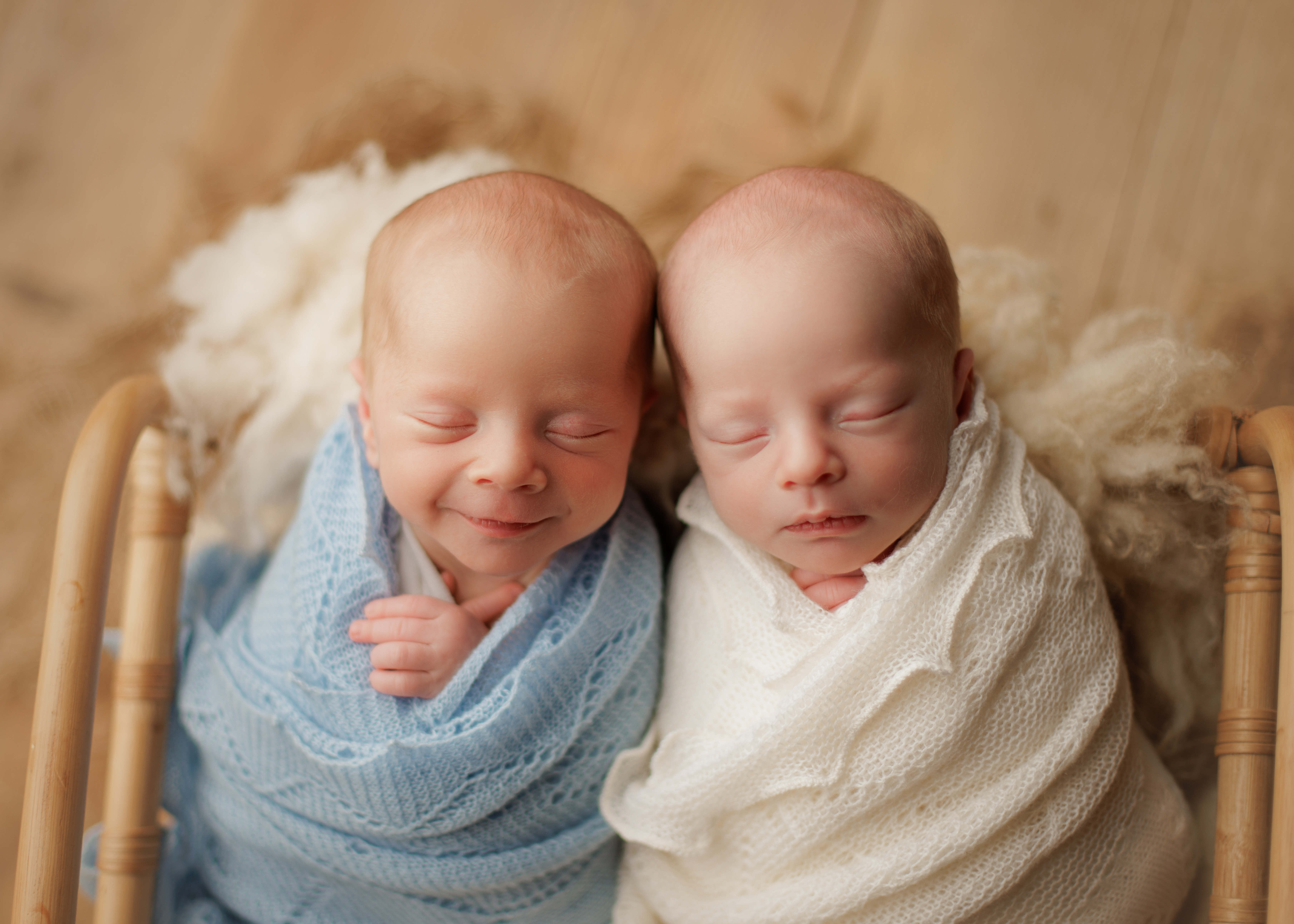 Chicagoland newborn twin photographer