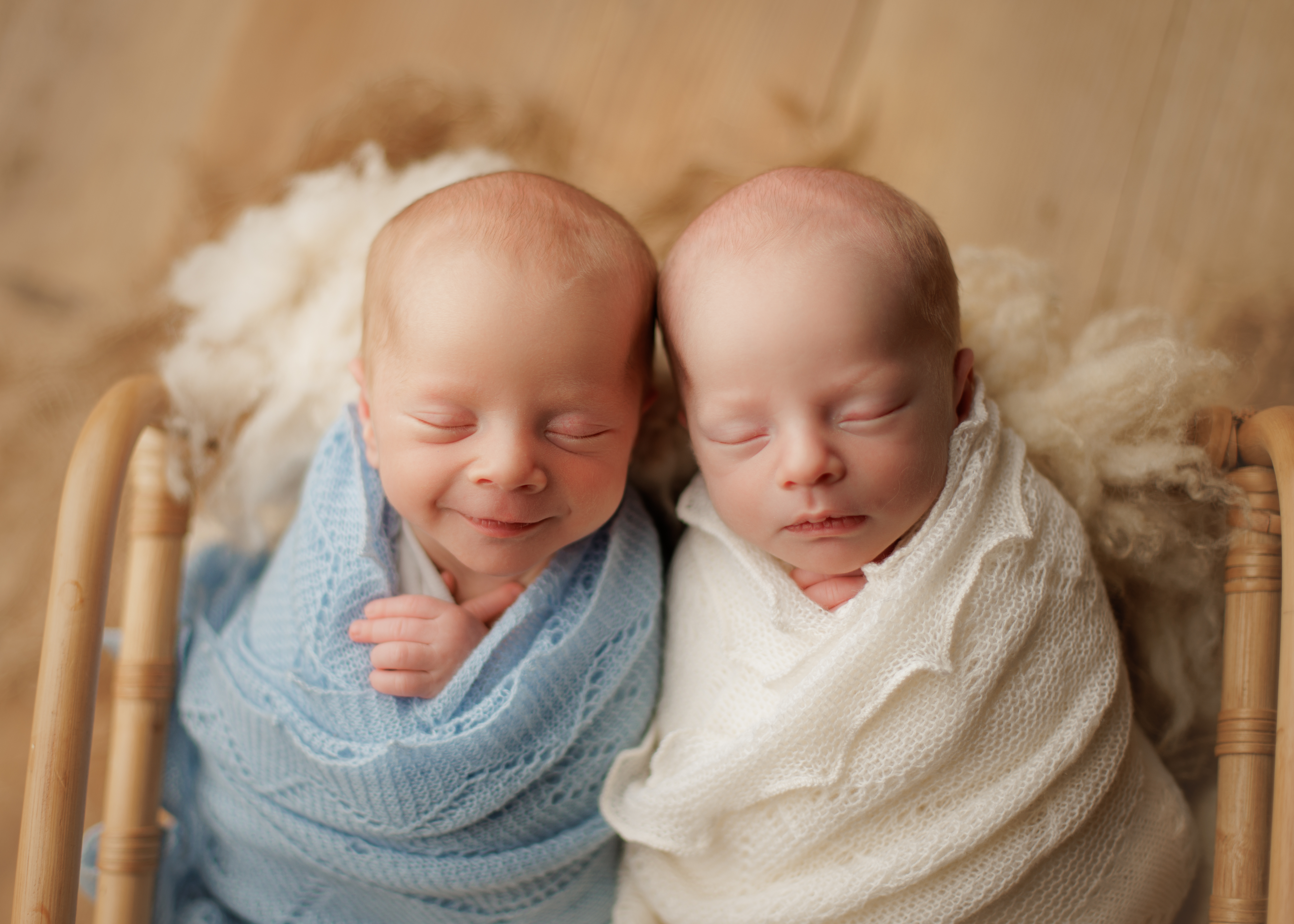 Chicagoland newborn twin photographer 