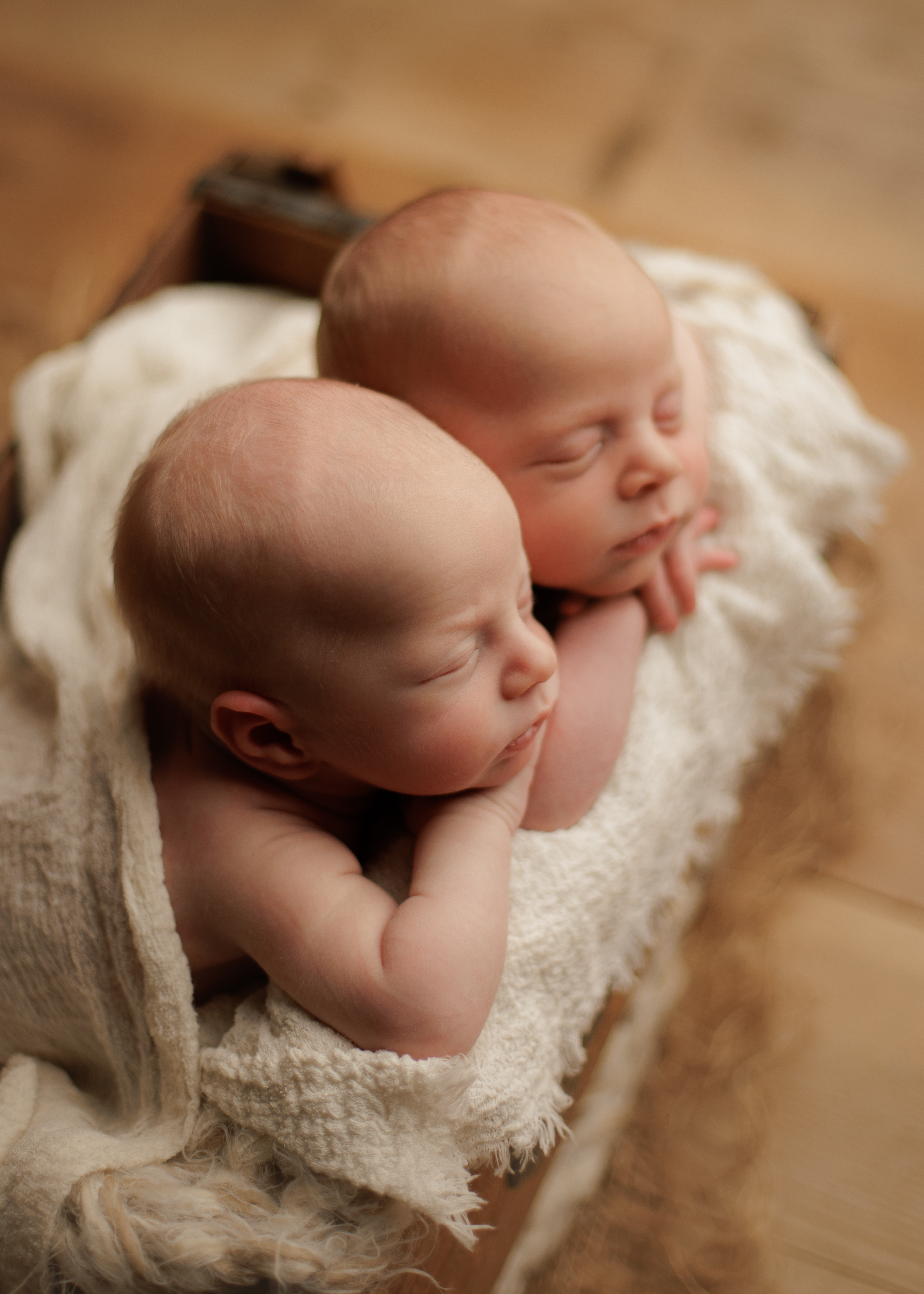 newborn twin photo session in Chicago