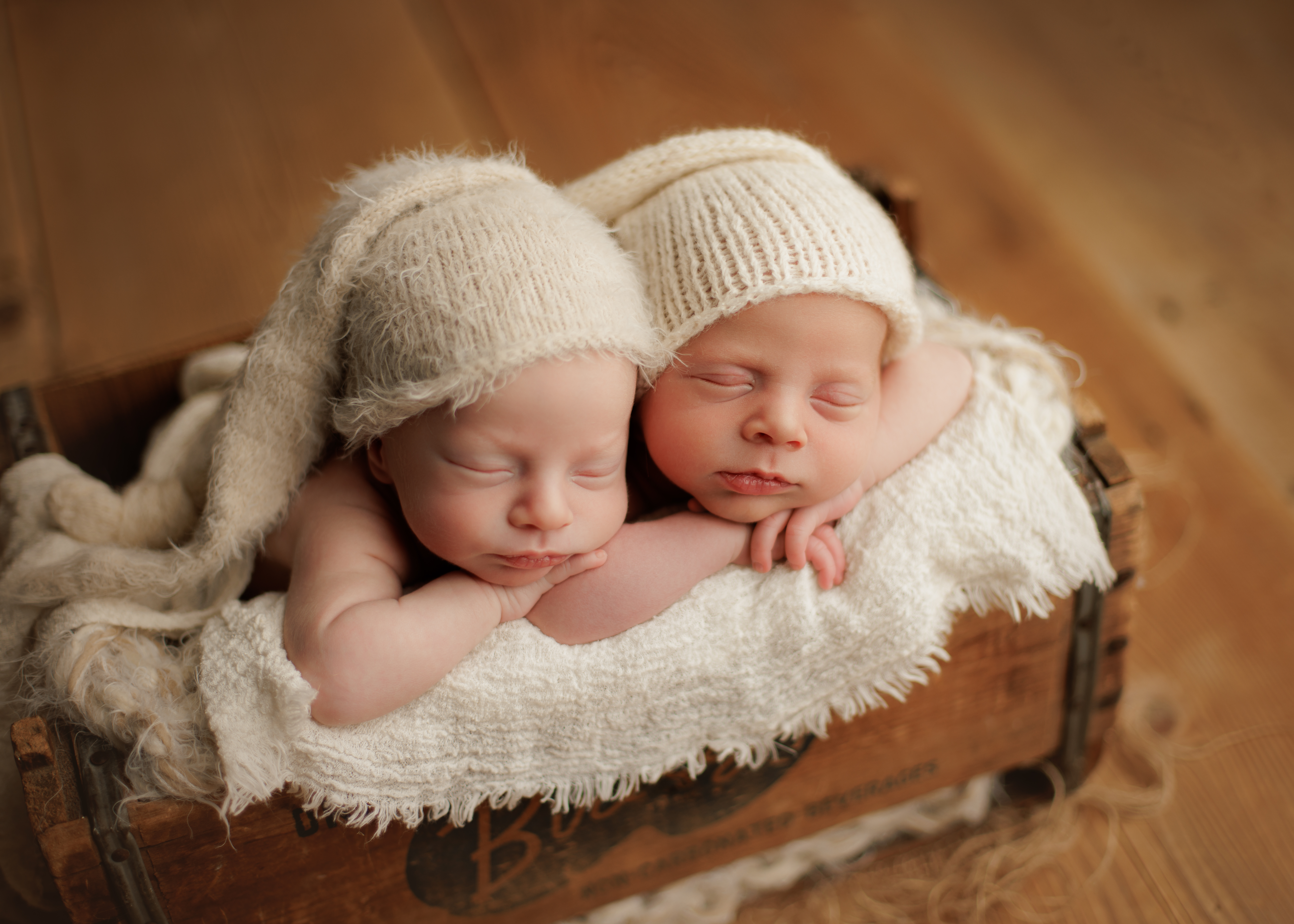 twin newborn babies in Chicago