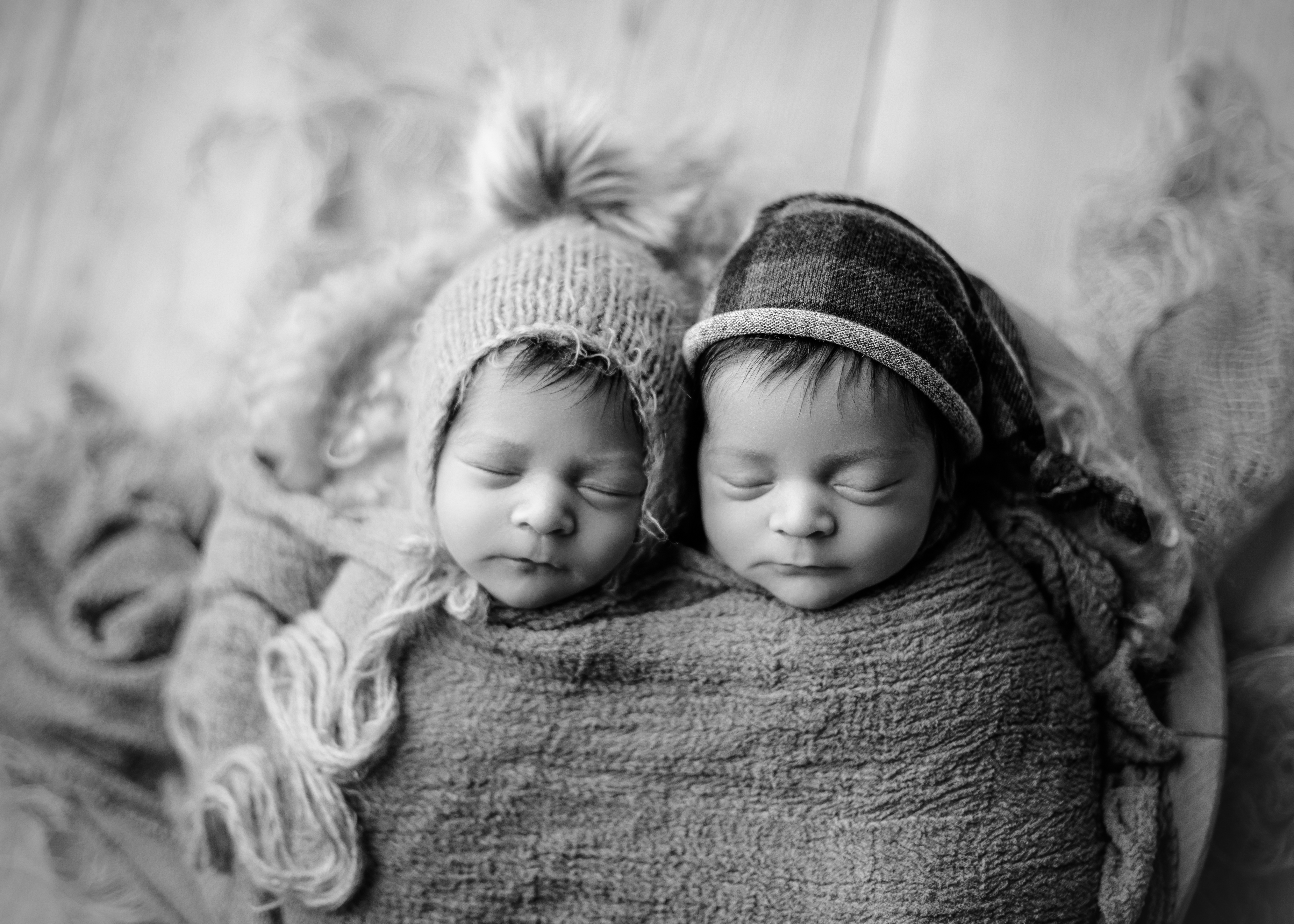 black and white newborn photographer Chicago