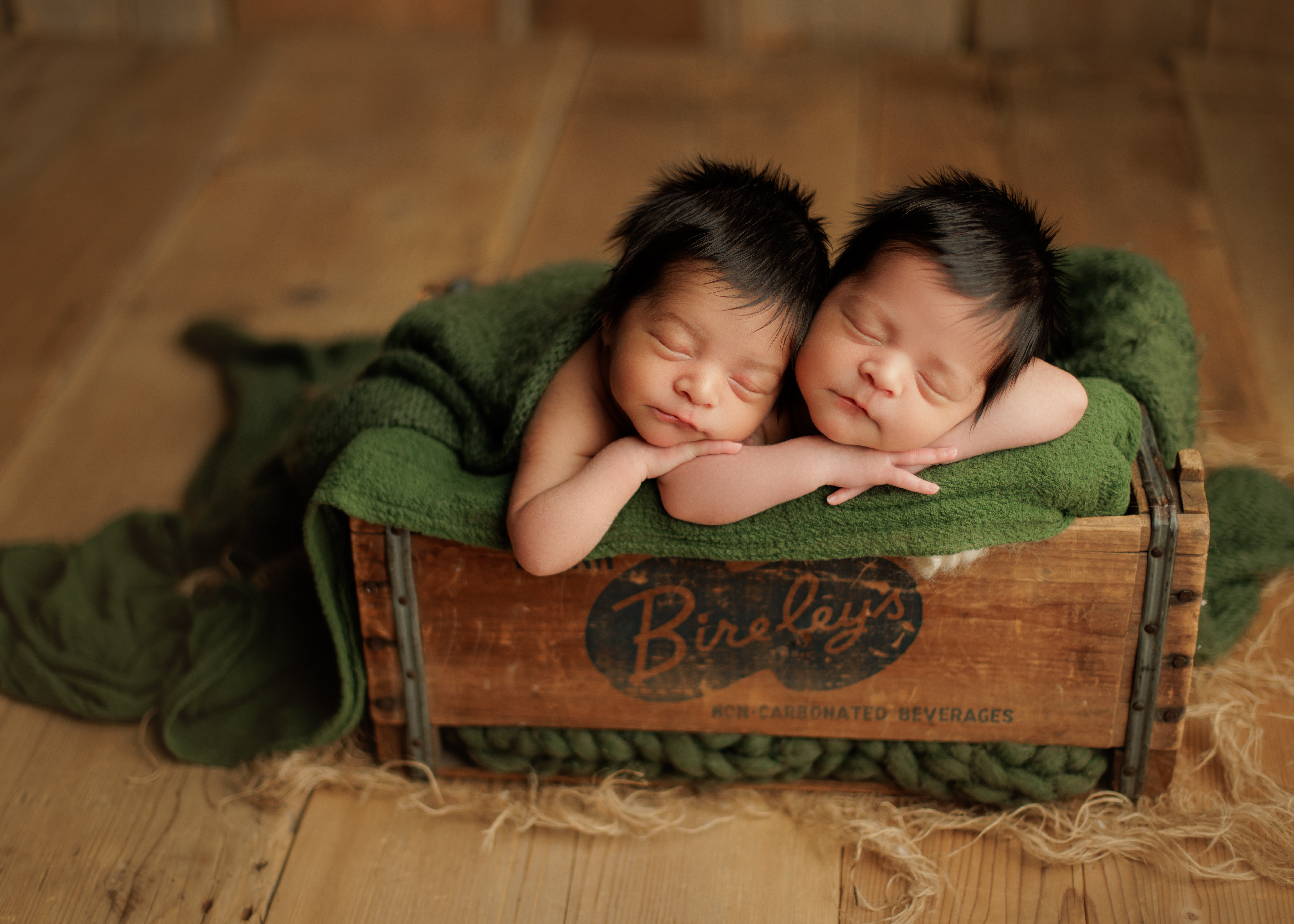 twin newborn photographer near me