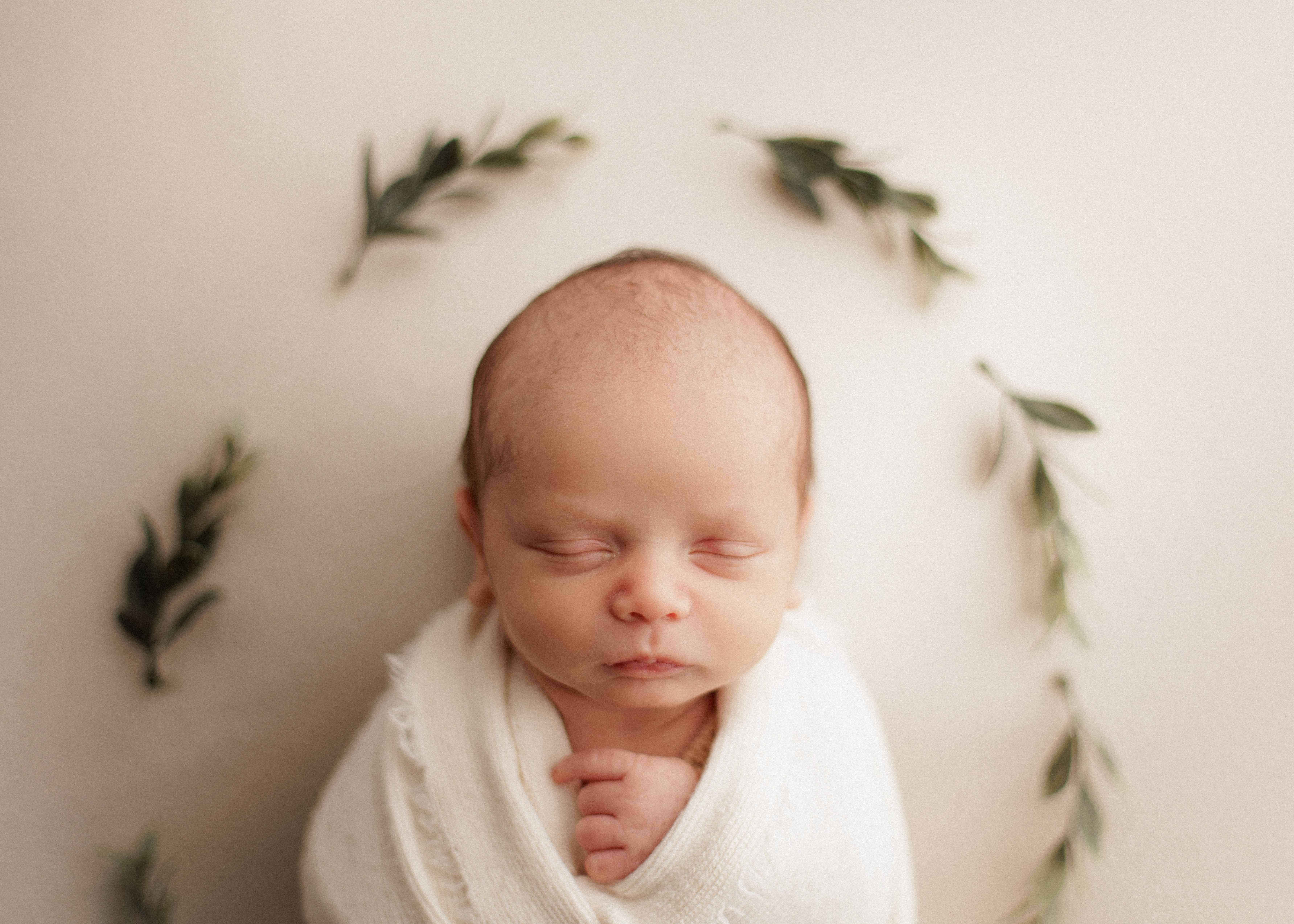 Chicagoland newborn photographer