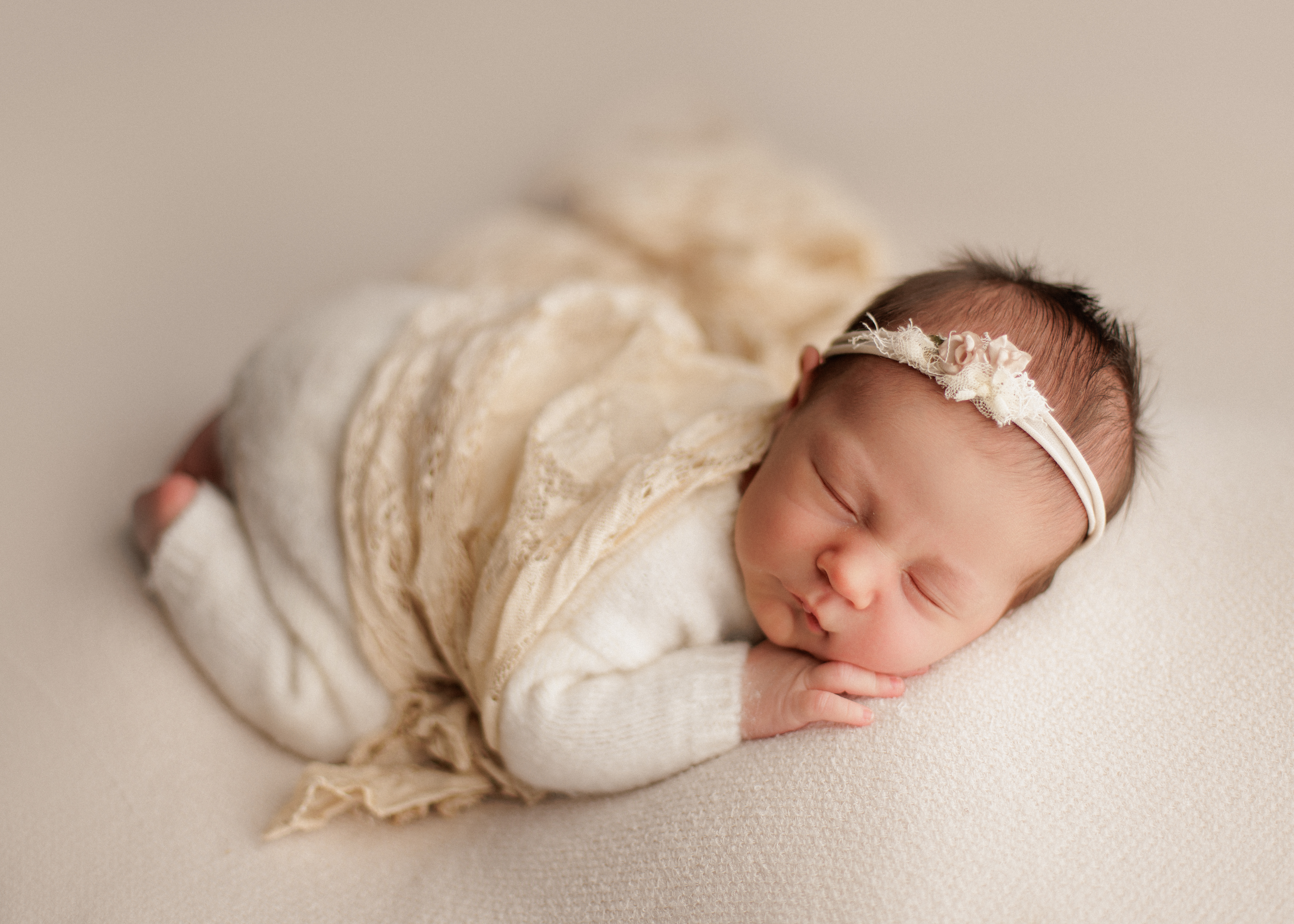 family photographer Chicago area