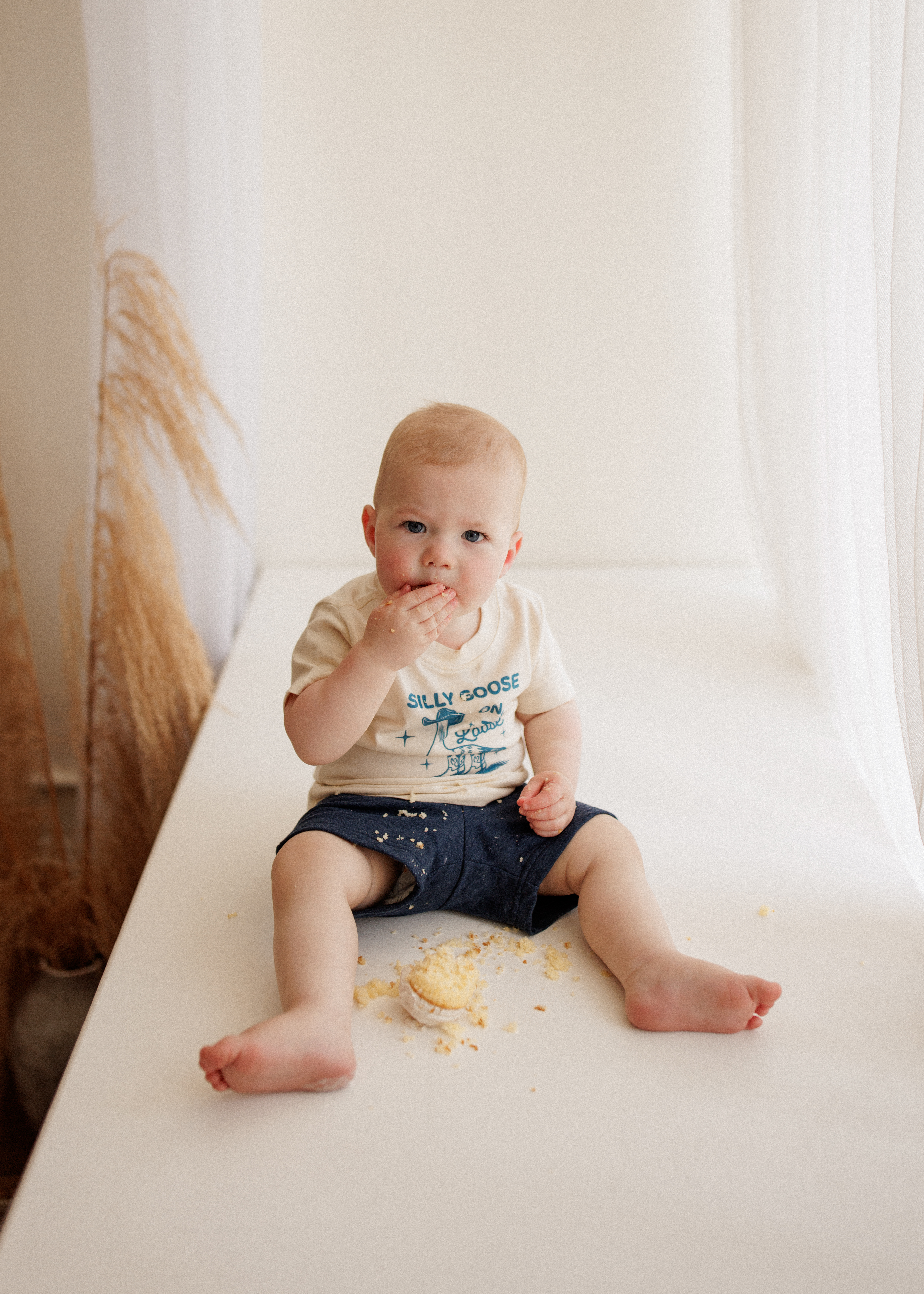 cake smash photographer Chicago