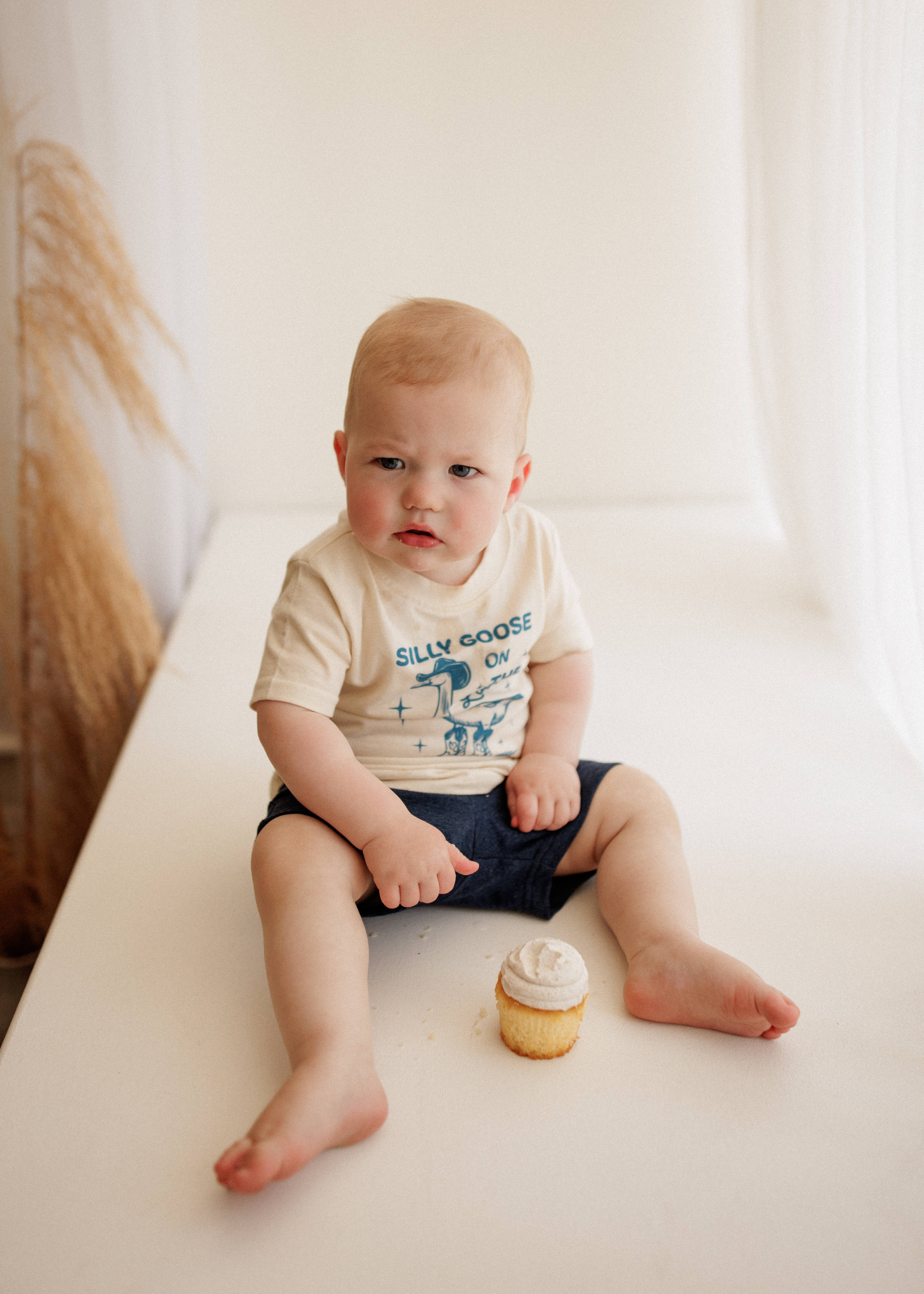 cake smash photographer Chicago