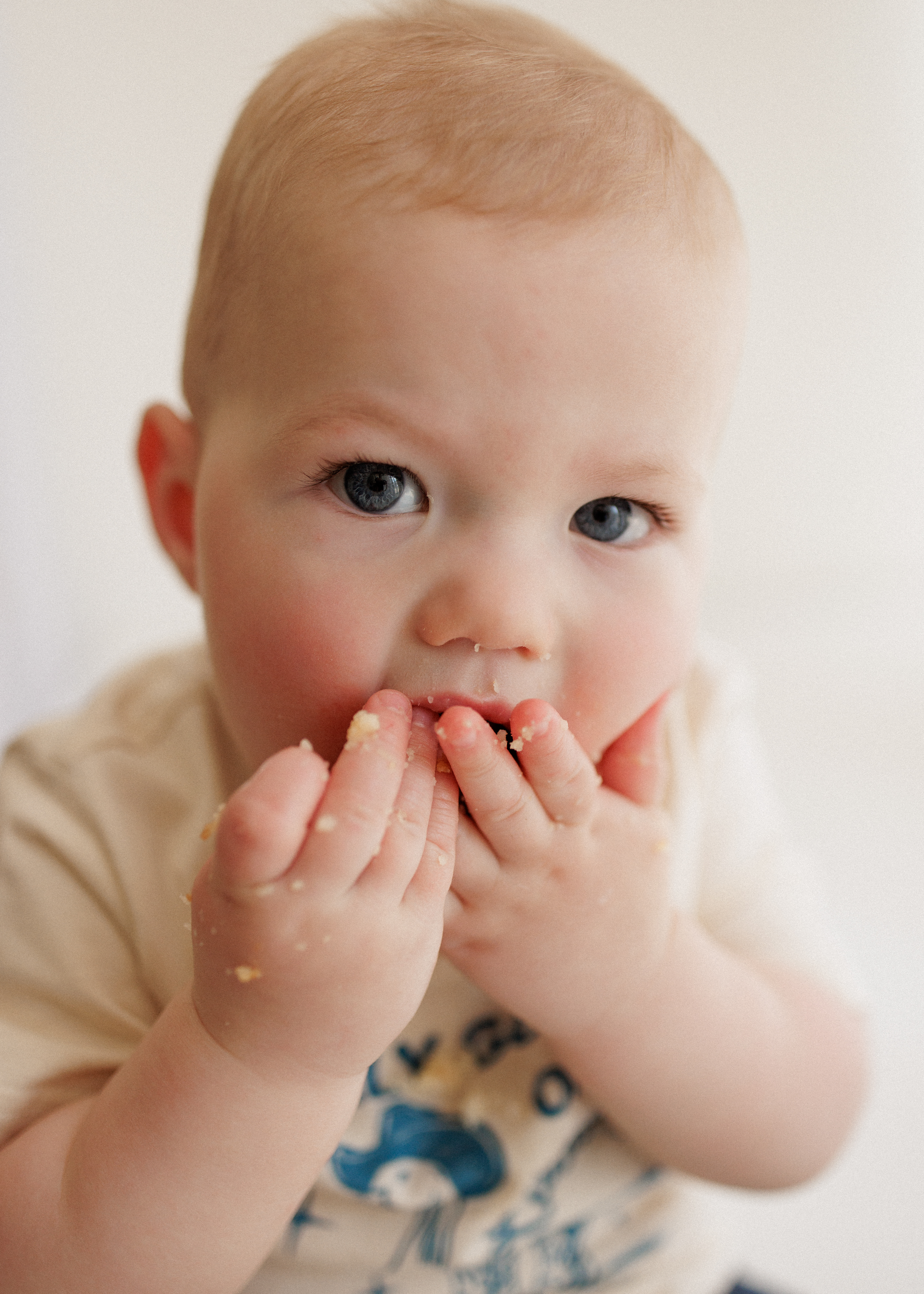 first birthday photo shoot with cake