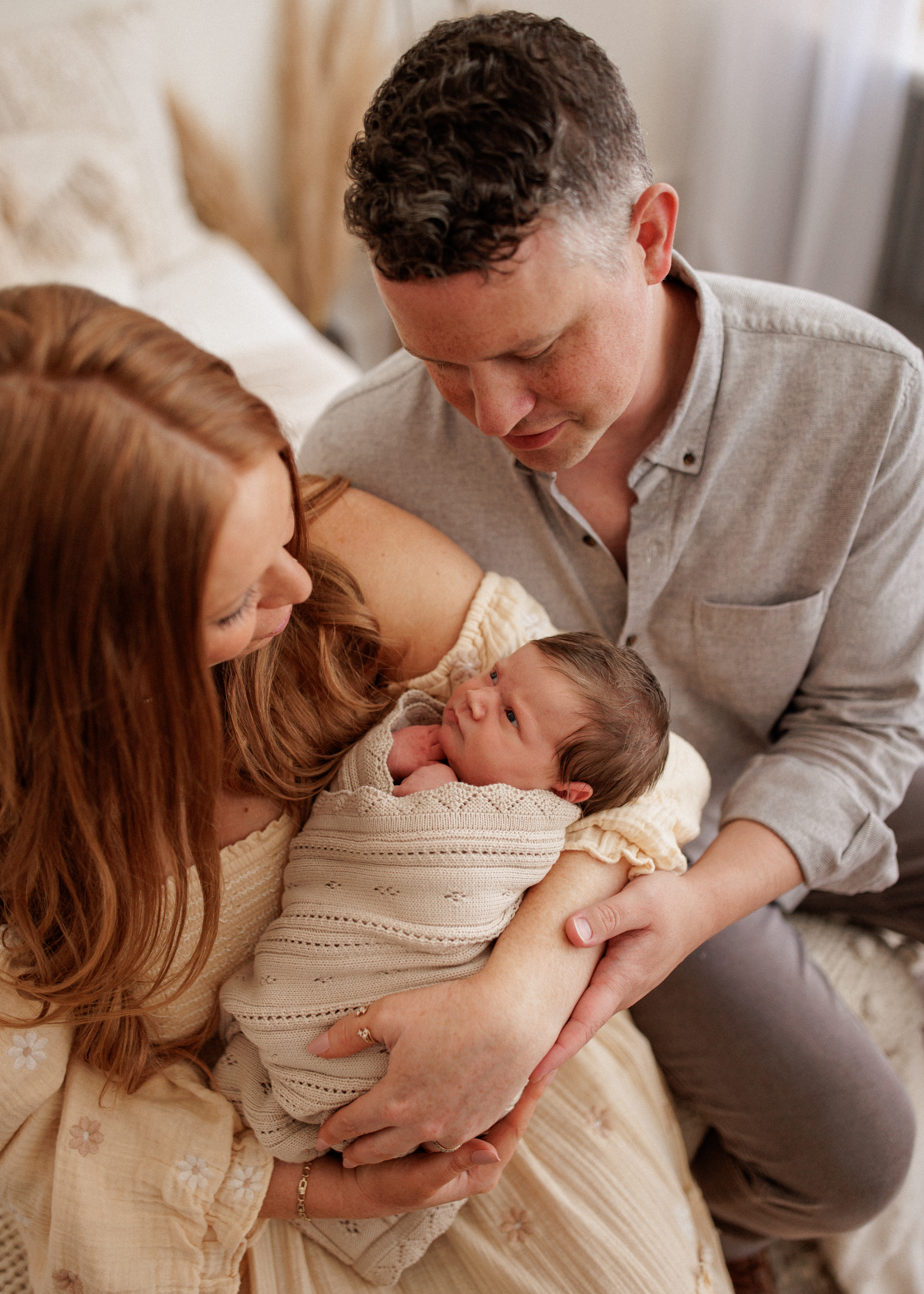 family portraits with newborn