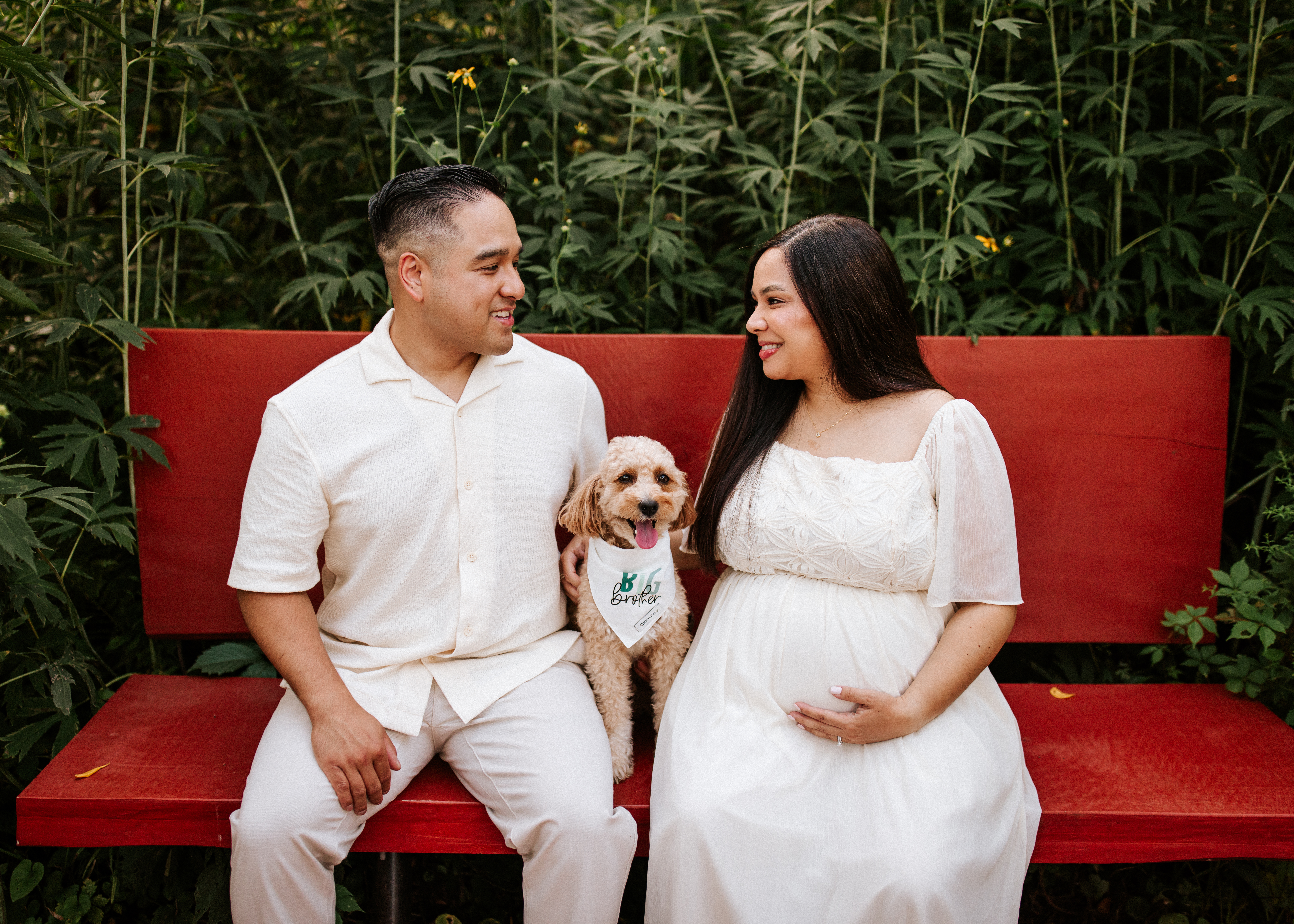 maternity photographer Chicagoland area