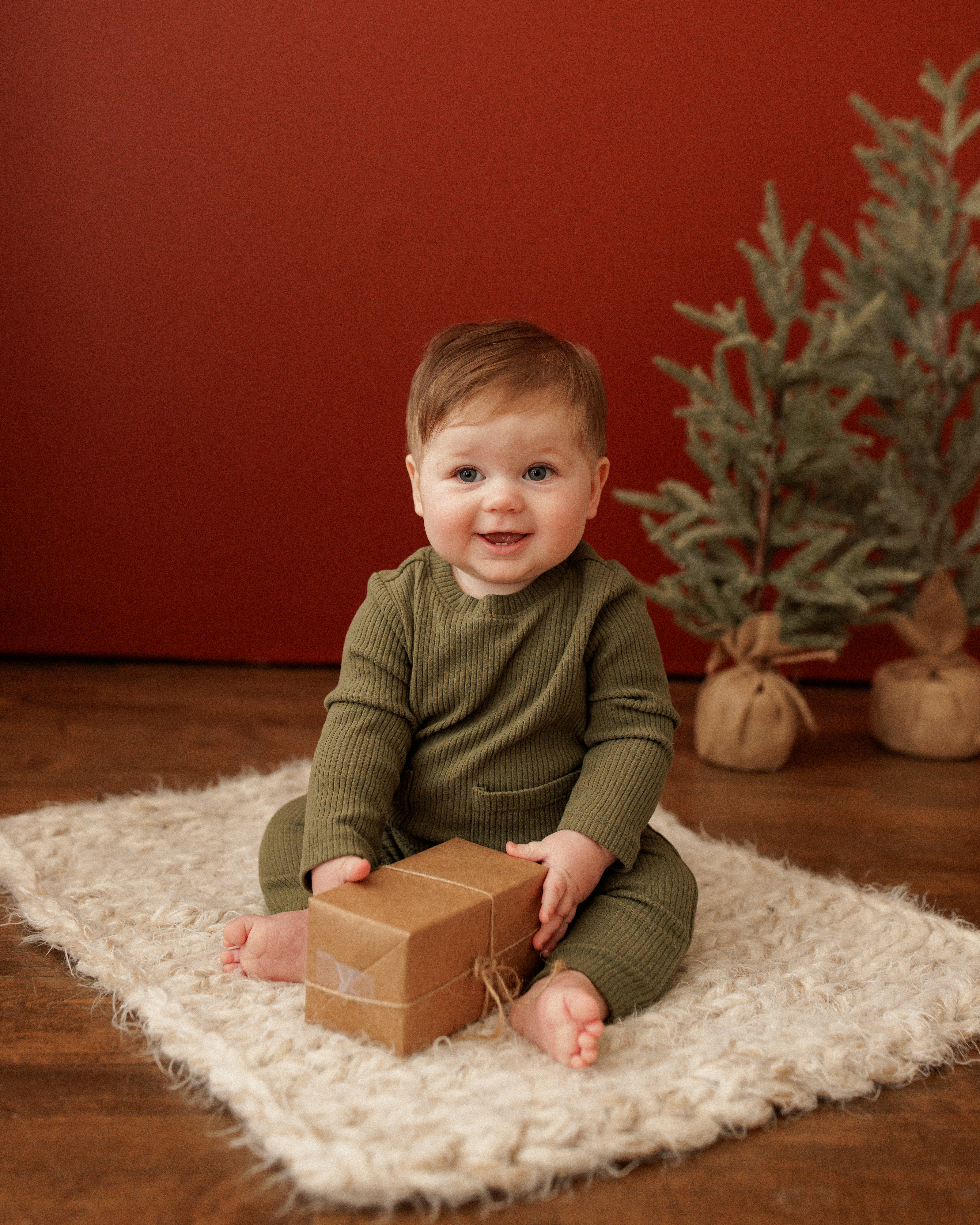 Holiday photographer Chicago area