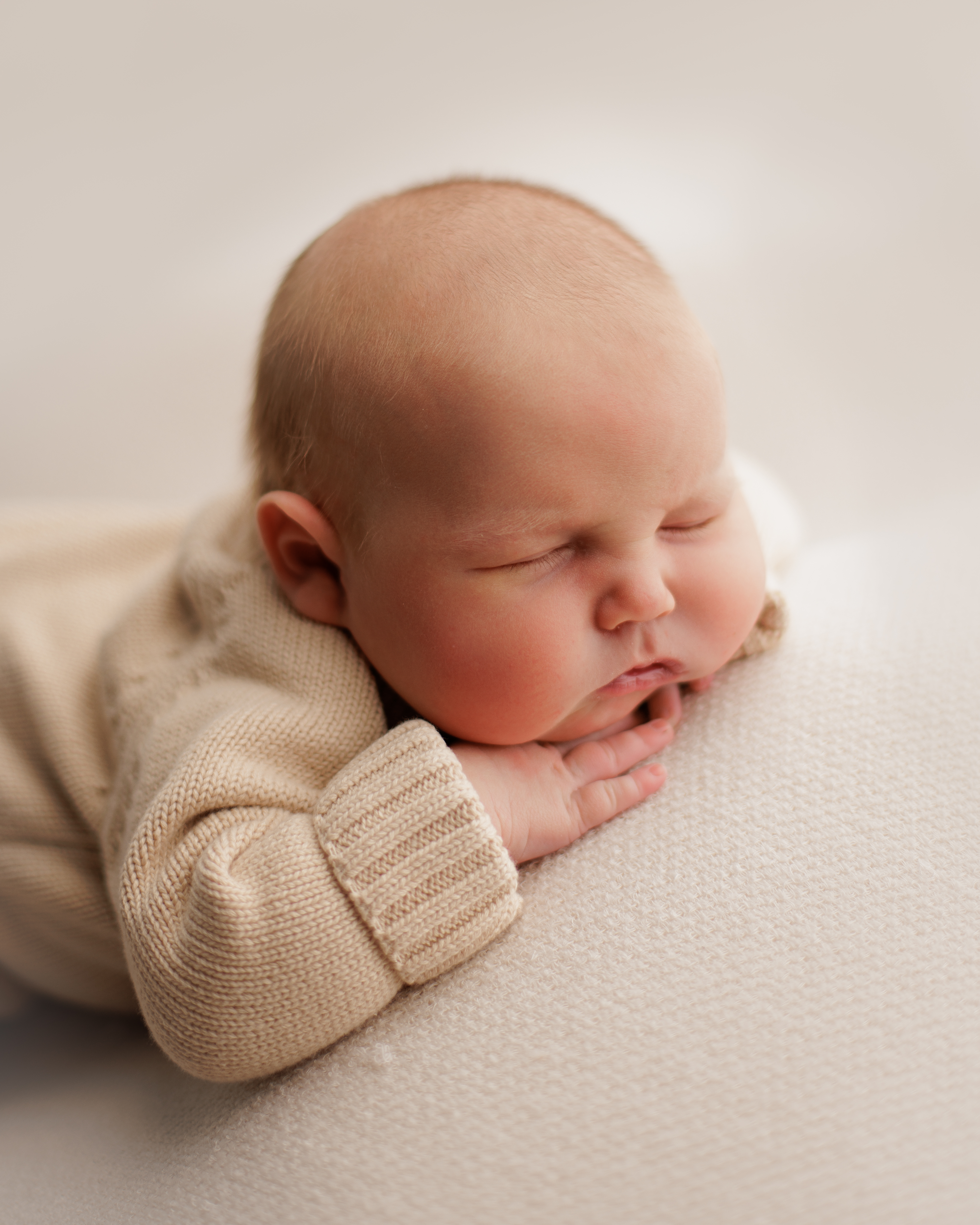 newborn photographer in Chicago 