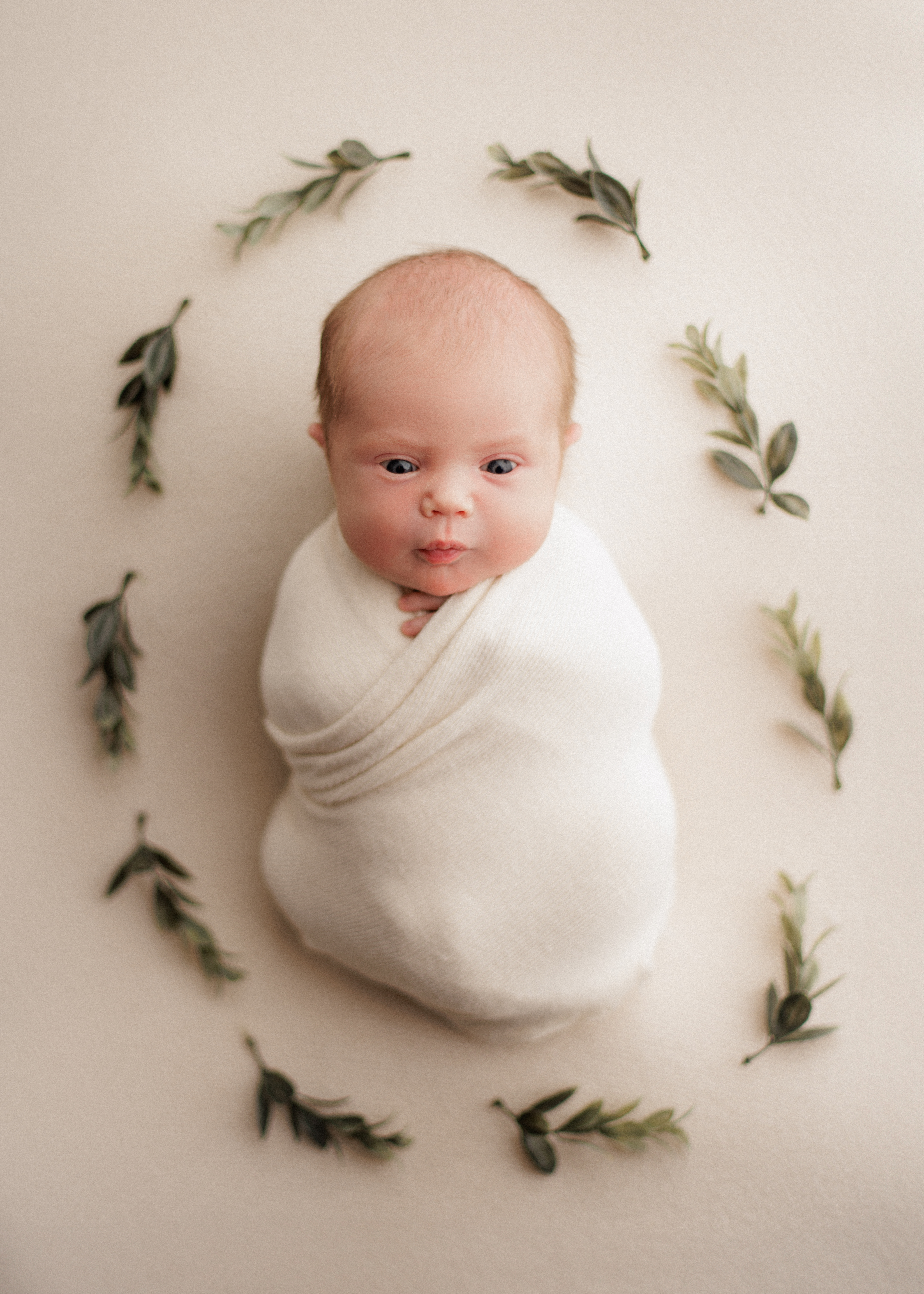 Chicago area baby photographer 